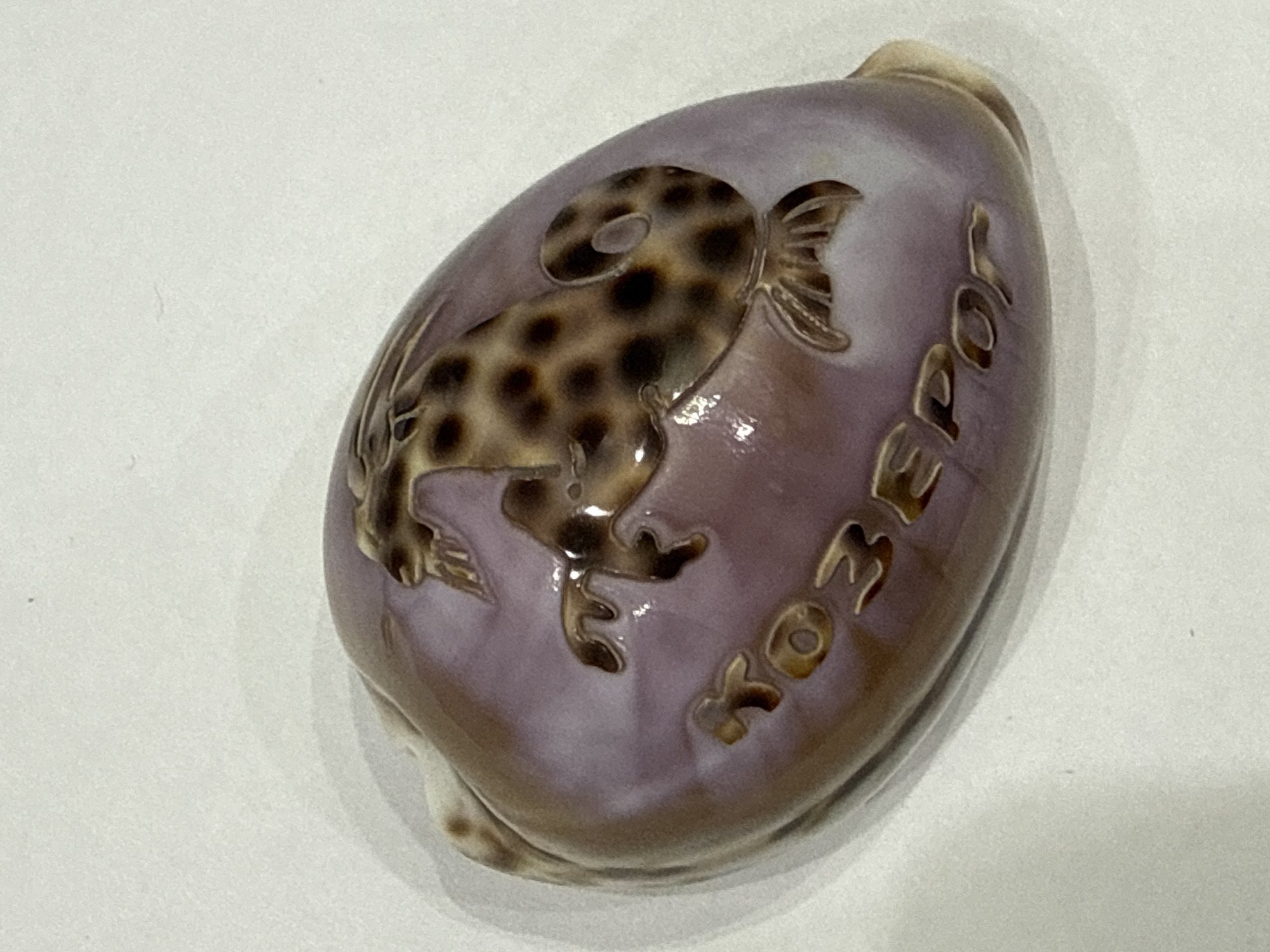 A light purple, ovate seashell with a carved design is centered on a white background. The carving depicts a mythical creature with the body of a goat and the tail of a fish, along with the Cyrillic inscription "КОЗЕРОГ", meaning "Capricorn". The creature is brown with dark spots, and its outline is carved into the shell. The text is also carved into the shell and filled with a darker brown material. The shell has natural brown and white markings along its edges. There are no people or other objects visible in the image. The location in the city of Salsk, Russia is not determinable from the provided image.