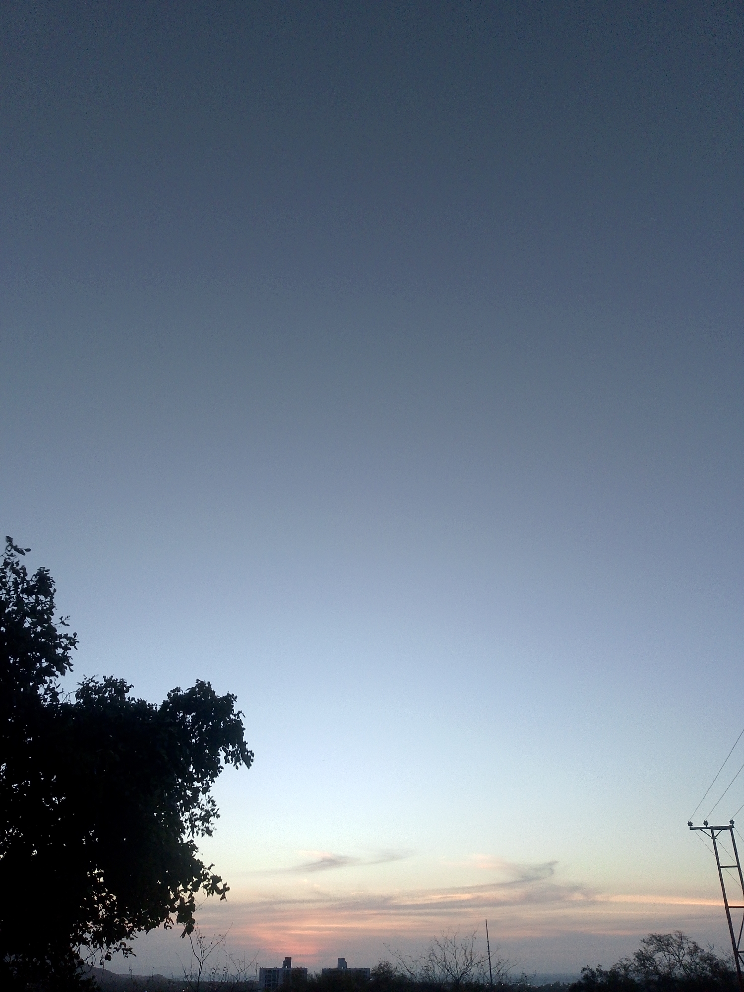 The image presents a twilight scene, likely at dawn or dusk, given the colors of the sky. The sky transitions from a darker blue-gray at the top to a lighter hue near the horizon, where hints of orange and pink suggest the presence of the sun. Thin, wispy clouds are visible near the horizon. A silhouette of a tree occupies the lower left portion of the image, with its branches and leaves appearing dark against the lighter sky. On the right side, a utility pole with power lines is visible. In the far distance, along the horizon line, there are hints of buildings, suggesting a cityscape. The overall impression is one of a quiet, peaceful scene at the edge of a city. There are no people visible in the image. Juan Griego is not evident from the image.