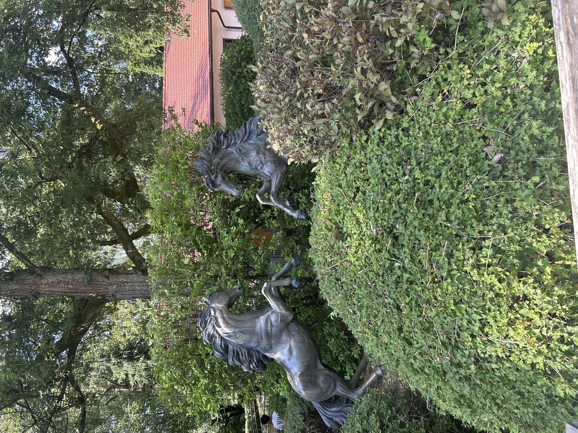 The image shows two bronze sculptures of horses rearing up on their hind legs, placed amidst lush green bushes. The horse on the left is more fully visible, while the horse on the right is partially obscured by foliage. In the background, a building with a red tiled roof is visible, along with large trees providing shade. A person wearing a white t-shirt is partially visible in the distance to the left, walking near a fence. The overall scene appears to be an outdoor garden or park setting. The sculptures suggest a theme related to horses or equestrian activities.