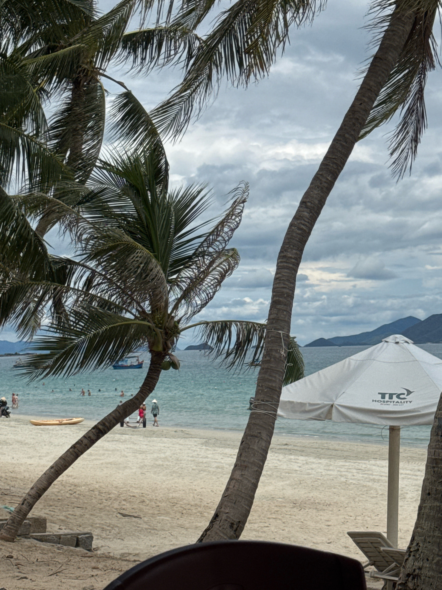 The image captures a beach scene in Ninh Hoa, Vietnam, under a cloudy sky. The foreground is dominated by the trunks and fronds of several palm trees, casting shadows on the sandy beach. To the right, a large white umbrella with the logo "TTC HOSPITALITY" is prominent. In the midground, the turquoise ocean meets the shore, with several people visible swimming and walking along the water's edge. A small blue boat is anchored in the water, and a yellow kayak rests on the sand. The background shows a mountainous coastline fading into the cloudy horizon. The overall impression is that of a tropical resort, likely a beach resort given the umbrella and lounge chair.
