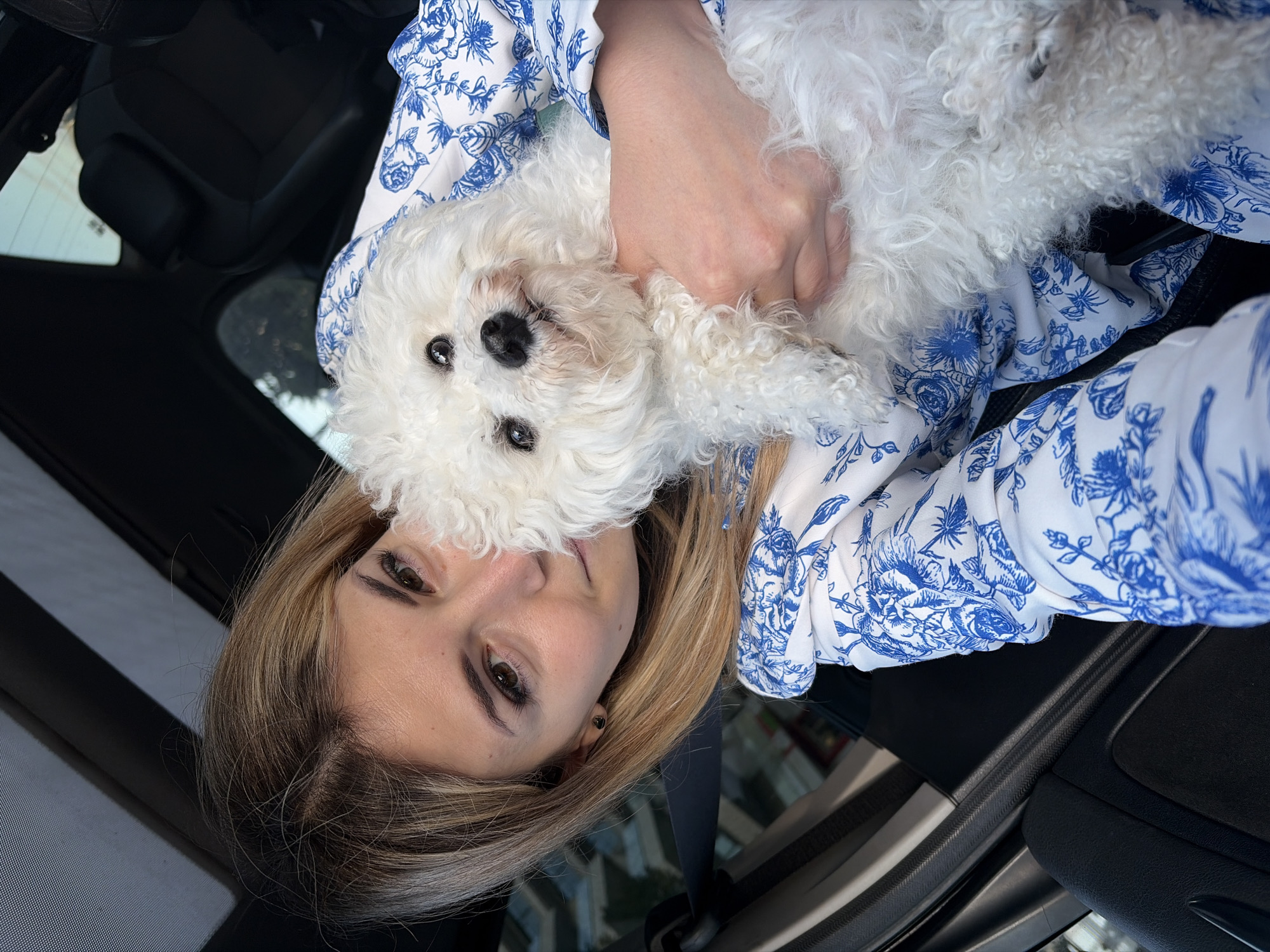 A woman holds a small, white, fluffy dog, likely a Bichon Frise, inside a car, appearing to be captured in a selfie or close-up photograph. The woman has long, light brown hair with blonde highlights and dark eyes, looking directly at the camera. She is wearing a white blouse adorned with a distinctive blue floral and botanical pattern. Her right hand is visible, gently cradling the dog.
The dog, with its bright white, curly fur, dark, soulful eyes, and a prominent black nose, also looks towards the camera, conveying a sense of calm and affection. Its head is resting near the woman's shoulder/chest.
The setting is the interior of a car, characterized by dark, possibly black, seats and panels. Light filters in from outside, indicating it is daytime. Hints of the car's window and the blurred environment beyond are visible. The overall mood of the image is one of tender companionship between the woman and her pet. No visible text is present in the media file. This scene is contextualized within Budva, Montenegro.