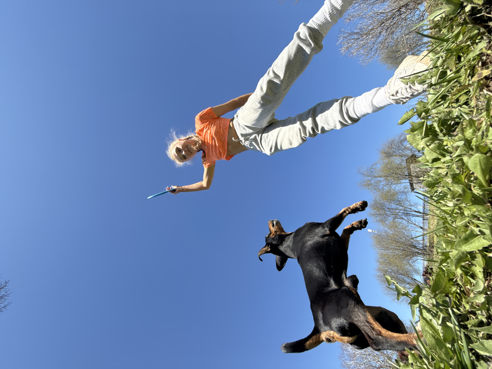 A low-angle shot captures a woman and a dog against a clear blue sky. The woman is positioned in the upper portion of the frame, wearing a cropped orange shirt and grey sweatpants. She is holding a blue object in her right hand, presumably a frisbee or similar toy. Below her, a black and tan dog is in mid-air, appearing to jump towards the object. The edges of the frame show glimpses of greenery and trees, suggesting an outdoor location, potentially a park or open space. The scene depicts a moment of play or interaction between the woman and her dog. The exact location in the city of Rosstani, Russia cannot be determined from the image alone.
