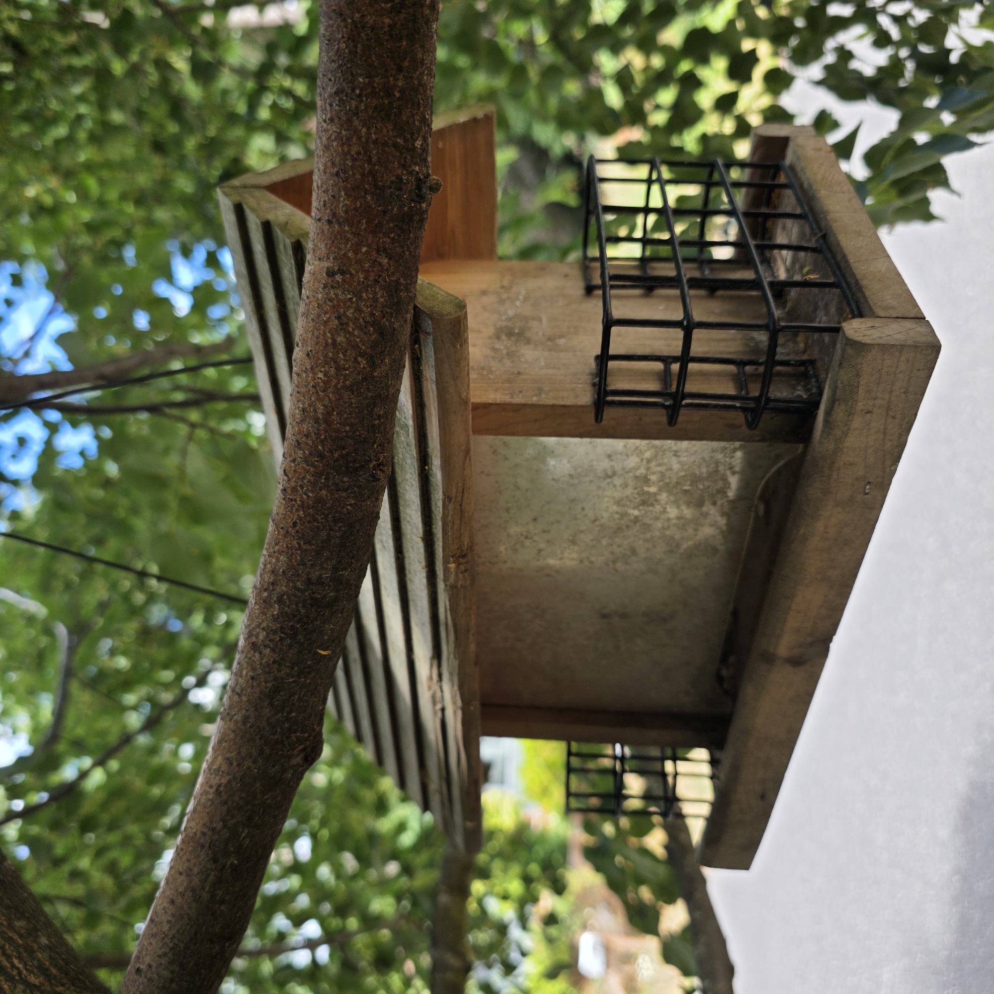 This image shows a wooden bird feeder attached to a tree branch. The feeder is rectangular with a sloped roof and a wire cage on one side, likely to hold suet or other bird food. The feeder has a metal tray underneath. The tree branch is rough and brown, and it's partially obscured by the bird feeder. In the background, there are blurred green leaves of trees and some bright blue sky, suggesting it's a sunny day. A white wall is visible on the right side of the image, which might be part of a building. The perspective is from below, looking up at the bird feeder and tree. No people are visible, and no text is present. The scene appears to be in a garden or backyard setting, possibly in Portland, USA, given the provided location context. The overall impression is of a peaceful, natural environment.