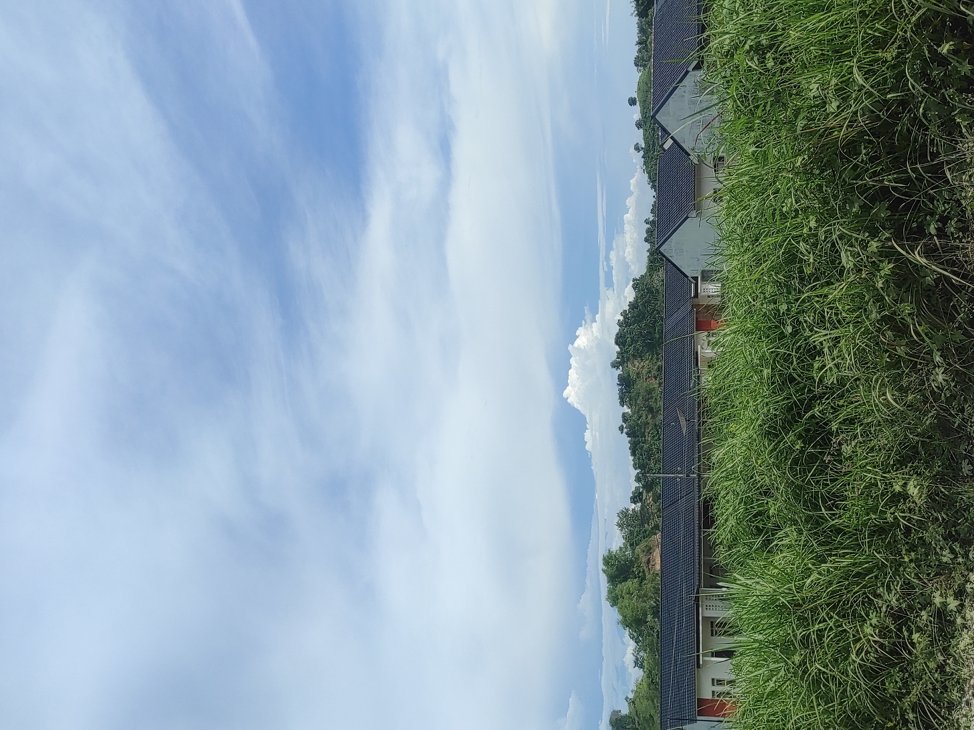 The image depicts a suburban or rural landscape in Lhokseumawe, Indonesia, characterized by a row of modest residential houses with dark tiled roofs, partially obscured by tall, lush green grass in the foreground. The houses appear to be a uniform design, suggesting a housing development. Behind the houses, a hilly, vegetated landscape with trees and foliage is visible, under a sky filled with white and light blue clouds, indicative of daytime. The scene is static, with no people or animals present. The overall impression is one of a quiet, developing residential area surrounded by natural greenery.