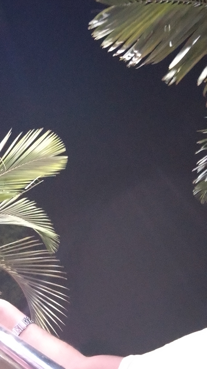 Palm fronds frame a night sky. The leaves, illuminated by an unseen light source, display a radial pattern. A metallic railing and a glimpse of skin and a ring are visible in the lower left corner. The sky is a dark, uniform expanse, creating a backdrop for the foliage. The overall composition evokes a feeling of being outdoors at night, possibly on a balcony or deck.