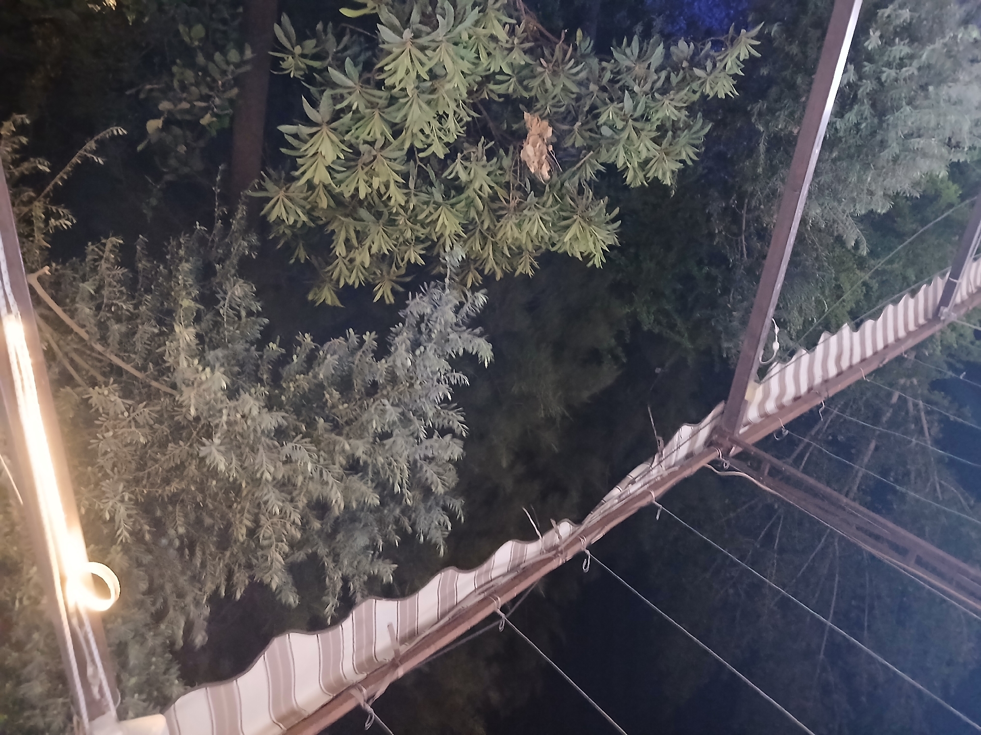 The image depicts an outdoor scene at night, possibly a garden or patio area. A striped awning, likely made of canvas, is visible in the upper portion of the frame, supported by metal poles. Below the awning, a variety of trees and foliage are present, with some leaves illuminated by a warm light source, possibly a lamp or string lights. In the foreground, a tall, slender object, likely a light fixture, glows brightly. The background is dark, suggesting a night sky or dense vegetation obscuring the view. The overall impression is one of an outdoor seating area or walkway, illuminated for evening use. The image does not contain any people or specific identifiable structures that would pinpoint a precise location within Dummar Municipality, Syria.