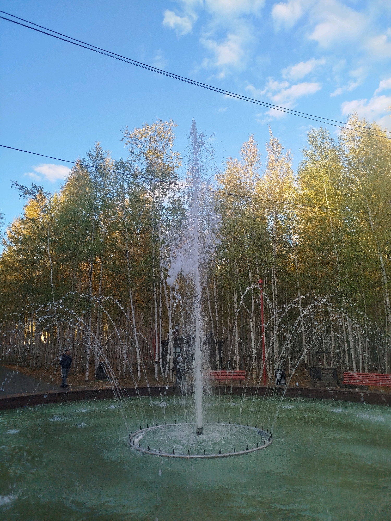 In the city of Mirny, Russia, a fountain is active in a body of green water, with a circular ring from which water jets spray outward and upward, forming a cascading curtain. The fountain is situated in an outdoor area with a dense grove of birch trees in the background. The trees have slender white trunks and are covered with foliage that appears to be turning yellow and green, suggesting an autumn season. Two red park benches are visible between the trees and the fountain. The sky above is blue with scattered white clouds, and two dark power lines stretch across the upper portion of the image. A single individual, wearing dark clothing, stands near the edge of the fountain on a pathway. The scene is captured during daylight hours, with sunlight illuminating the trees and the water.