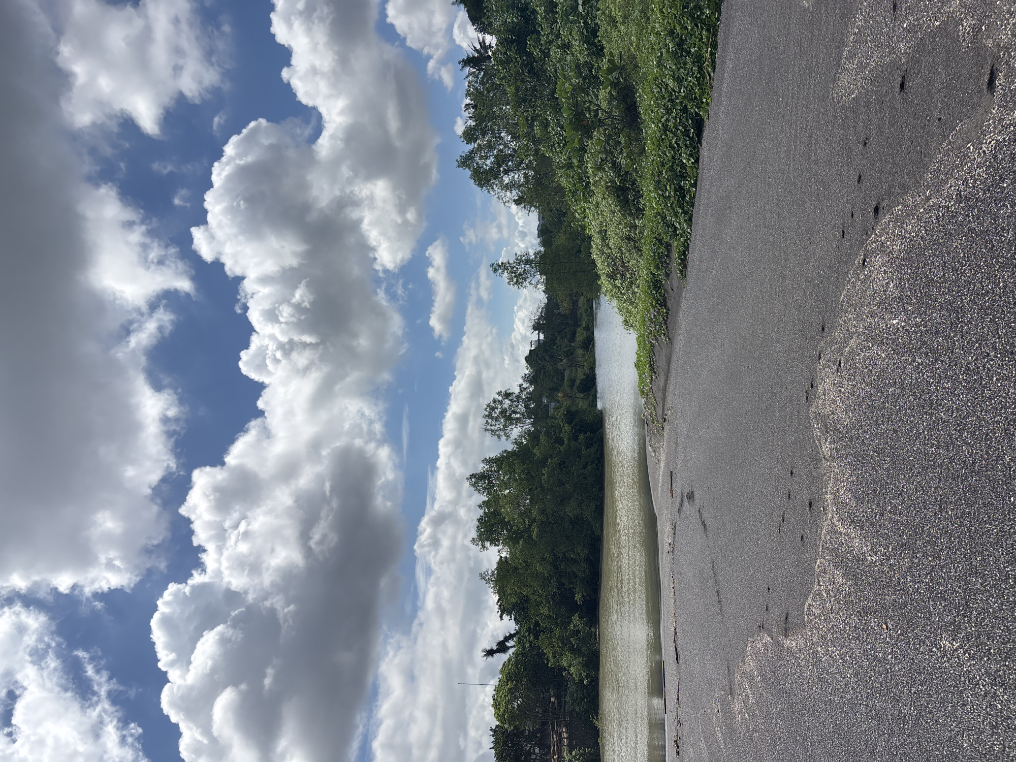 The image shows a landscape near Mengwi, Indonesia, featuring a narrow body of water adjacent to a paved area and vegetation. The sky is partially covered with large, puffy white clouds with patches of blue visible. On the right side, a paved surface is visible, transitioning to a rougher texture near the bottom edge. A line of dense green vegetation runs along the edge of the paved area, bordering the water. The water surface reflects the sky and the surrounding foliage. In the distance, more trees are visible. No people are visible.