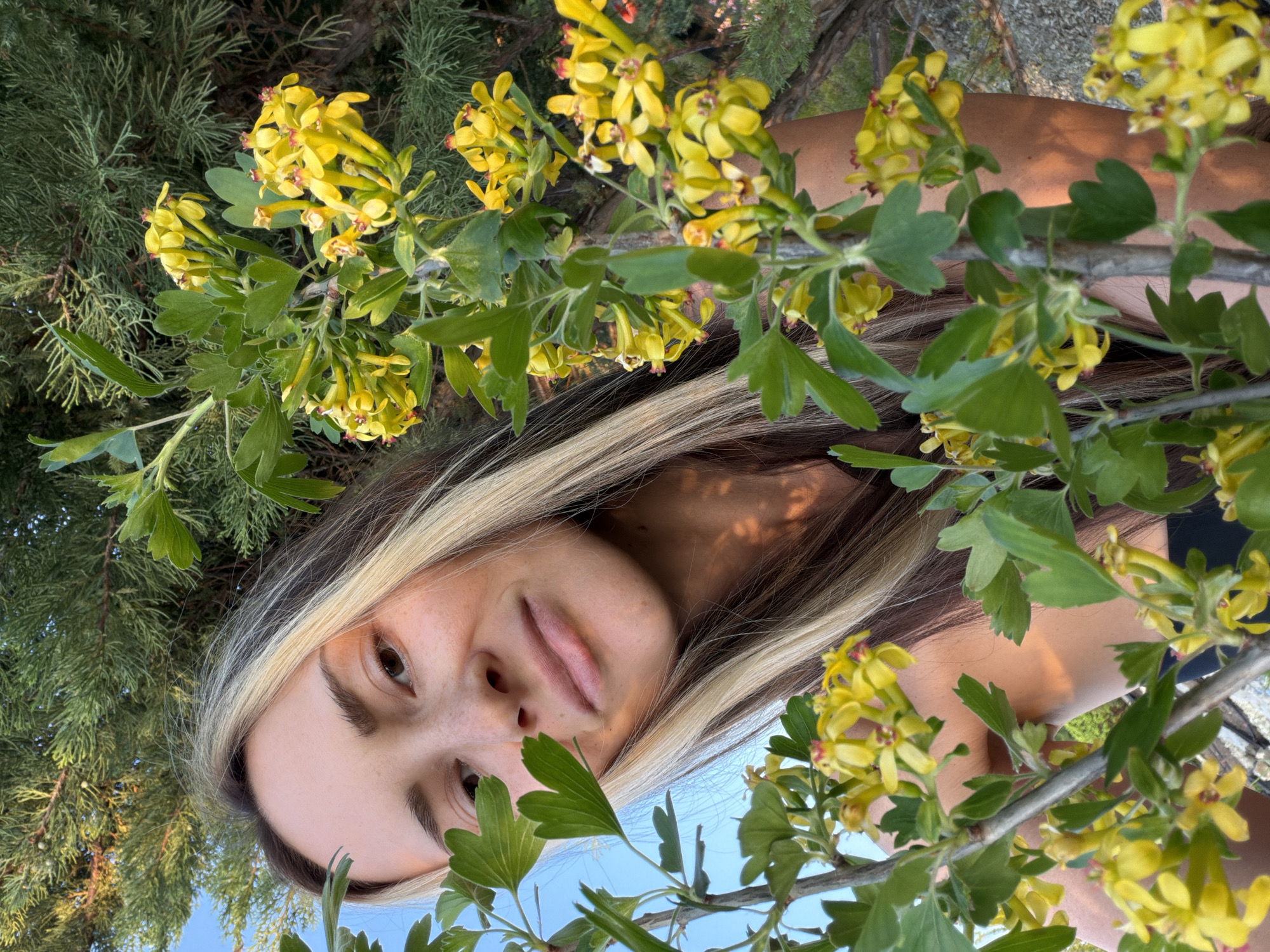 A woman with brown and blonde hair is positioned behind and among yellow flowers and green leaves, with a blue sky and green foliage visible in the background. The image is taken from a low angle, looking up at the woman and the flora. The location in Kamyshin, Russia, is not definitively discernible from the image.