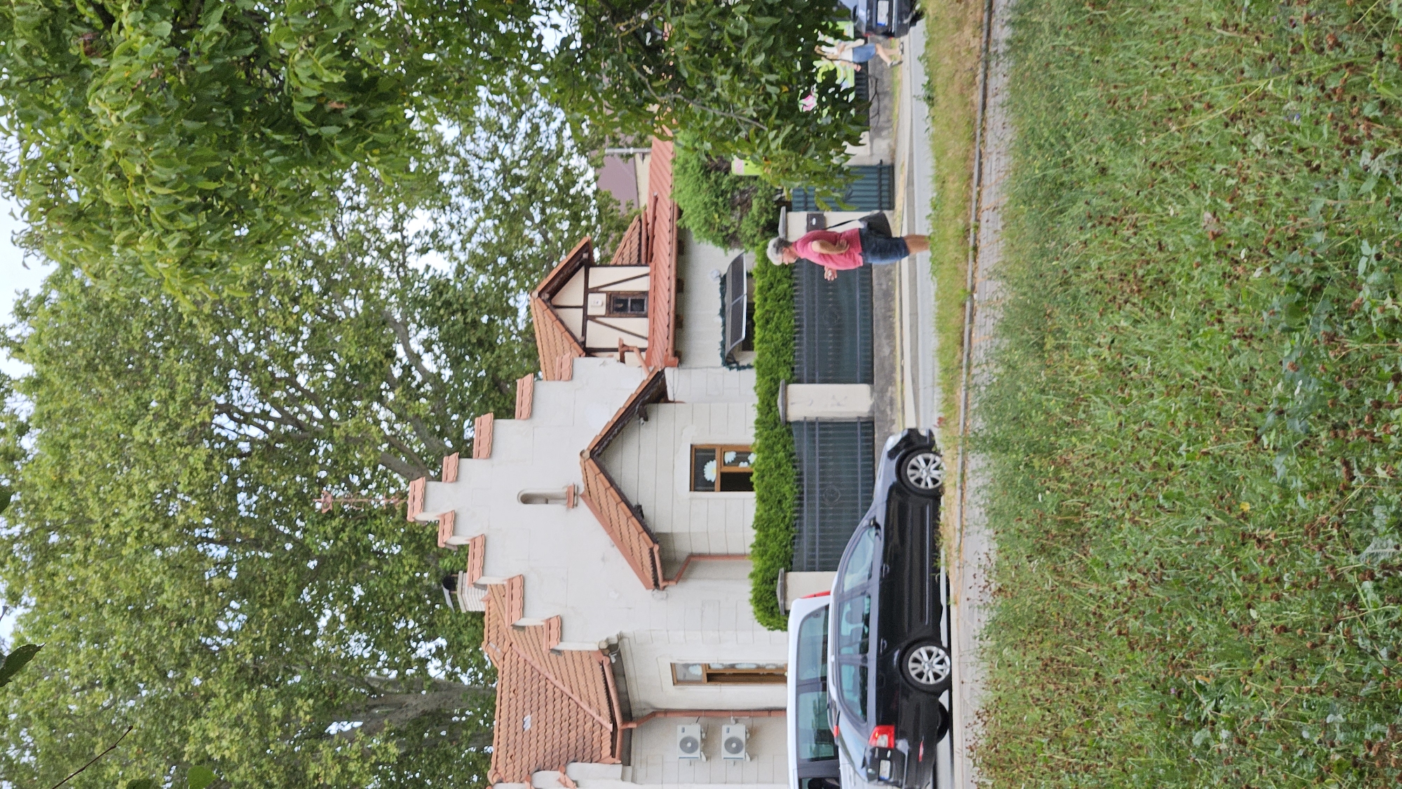 The image depicts a street scene in Prešov, Slovakia. In the foreground, a grassy area with various weeds and plants covers the ground. A black station wagon is parked on the side of the road. Behind the car, a woman with short gray hair, wearing a pink shirt and blue shorts, stands near a dark metal fence. She is holding a dark bag over her shoulder and appears to be looking to her left. Further back, a white building with a terracotta tiled roof and decorative gables is visible. Two outdoor air conditioning units are mounted on the exterior wall of the building. A dark fence runs along the front of the property, bordering the sidewalk. A white minivan is partially visible on the far left. Trees with lush green foliage are present in the background, obscuring the sky in places.