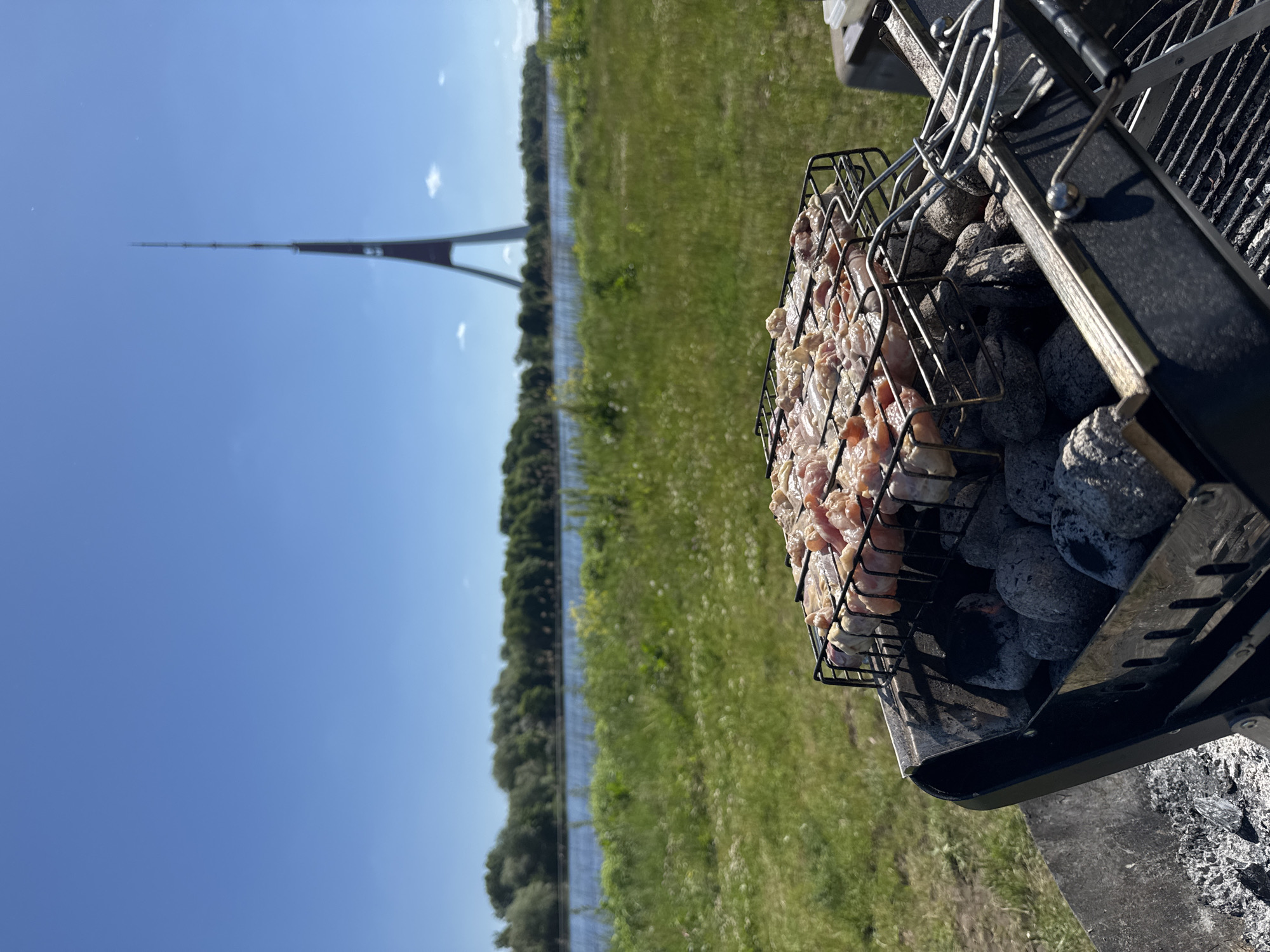 The image depicts an outdoor grilling scene on a sunny day in Riga, Latvia, with the Riga TV Tower visible in the background. In the foreground, a black charcoal grill contains glowing charcoal briquettes. A metal grilling basket positioned over the coals holds numerous pieces of raw, light pink meat, likely chicken, arranged for cooking. Some pieces are also on skewers within the basket. To the left of the grill, an area of white ash is visible on the ground.
The midground features an expanse of green grass with small white and yellow wildflowers, leading to a calm blue body of water, likely the Daugava River, which stretches horizontally across the frame. On the far bank of the river, a dense line of green trees forms a natural boundary.
The background is dominated by a clear, bright blue sky with a few small, scattered white clouds. The distinctive Riga TV Tower stands prominently against the sky, its dark, triangular base tapering into a slender mast. No people are visible in the frame. The scene suggests a leisure activity taking place outdoors on a warm, clear day.