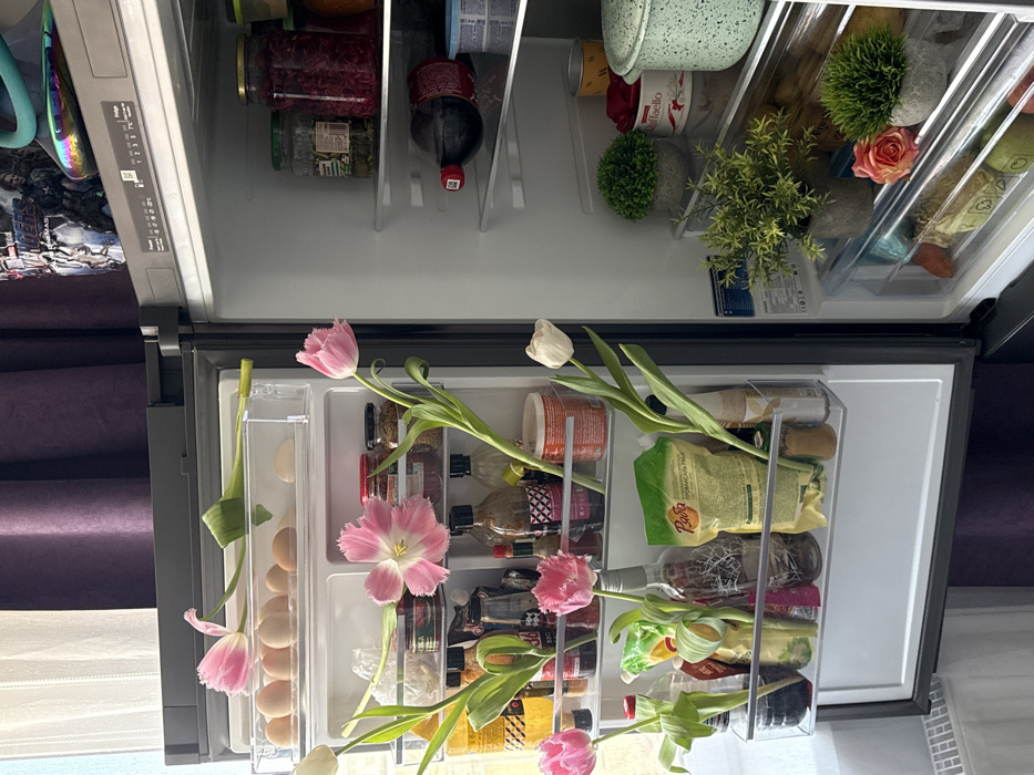 The image depicts the open interior of a black, two-door refrigerator and freezer unit in a domestic indoor setting, likely a kitchen, within the city of Unknown, Unknown. The scene is illuminated by ambient light from a nearby window on the left.
The top-left freezer compartment, partially visible, contains a clear plastic egg tray holding approximately a dozen light brown eggs and two white, bulbous items. A single pink tulip with a green stem lies horizontally across this egg tray.
The main refrigerator compartment on the right features multiple shelves. The top shelf holds several glass jars containing preserved foods, including one with red contents (possibly pickled beets) and another with green items. The second shelf contains a dark-colored bottle lying horizontally and various small containers. The third shelf displays two potted artificial plants, a white rectangular box labeled "Raffaello," a red fabric item, and a light green speckled pot with a lid. The bottom drawer/shelf contains another small potted artificial plant, a pink rose, and other partially visible food items. The refrigerator's control panel, showing temperature settings and a QR code, is visible on the inner right door frame.
The refrigerator's left-side door contains multiple clear shelves, prominently featuring numerous fresh tulips in various shades of pink and white. These tulips are stored vertically in assorted bottles and containers, including clear plastic and glass bottles, and a yellow plastic squeeze bottle. Visible items on these door shelves include small jars of spices or condiments, a bottle of BBQ sauce, an opaque green pouch with Cyrillic text, and a clear glass bottle resembling a liquor bottle.
In the background, a white radiator is visible below the window on the far left, covered by sheer white curtains. Dark purple curtains hang behind the refrigerator on the right. Above the refrigerator, a crumpled bag with an "Avengers" graphic and a rainbow-colored reflective object are visible. No individuals are present in the scene.
