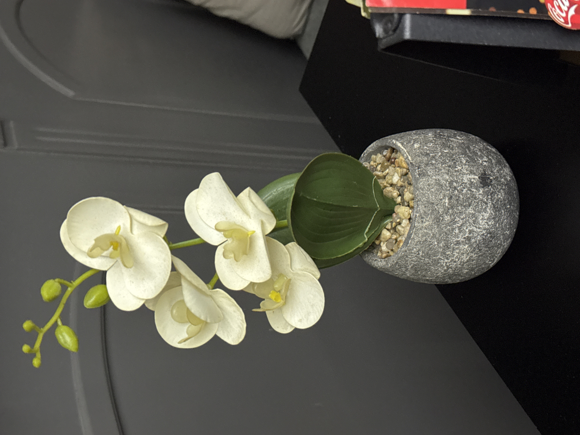 An artificial white orchid plant is positioned on a glossy black surface against a dark grey paneled wall in Burgas, Bulgaria. The plant features five open white orchid blooms with yellow centers, along with several green buds and two prominent green artificial leaves, all stemming from a thin green stalk. It is contained within a round, textured grey pot filled with small, light-colored pebbles. The dark grey background wall exhibits recessed paneling, including an arched detail on the right side. A small portion of a light-colored object, possibly upholstery, is visible behind the plant on the right. In the lower right foreground, a segment of a red and black object, consistent with Coca-Cola branding, is partially visible. No individuals are present in the image.
