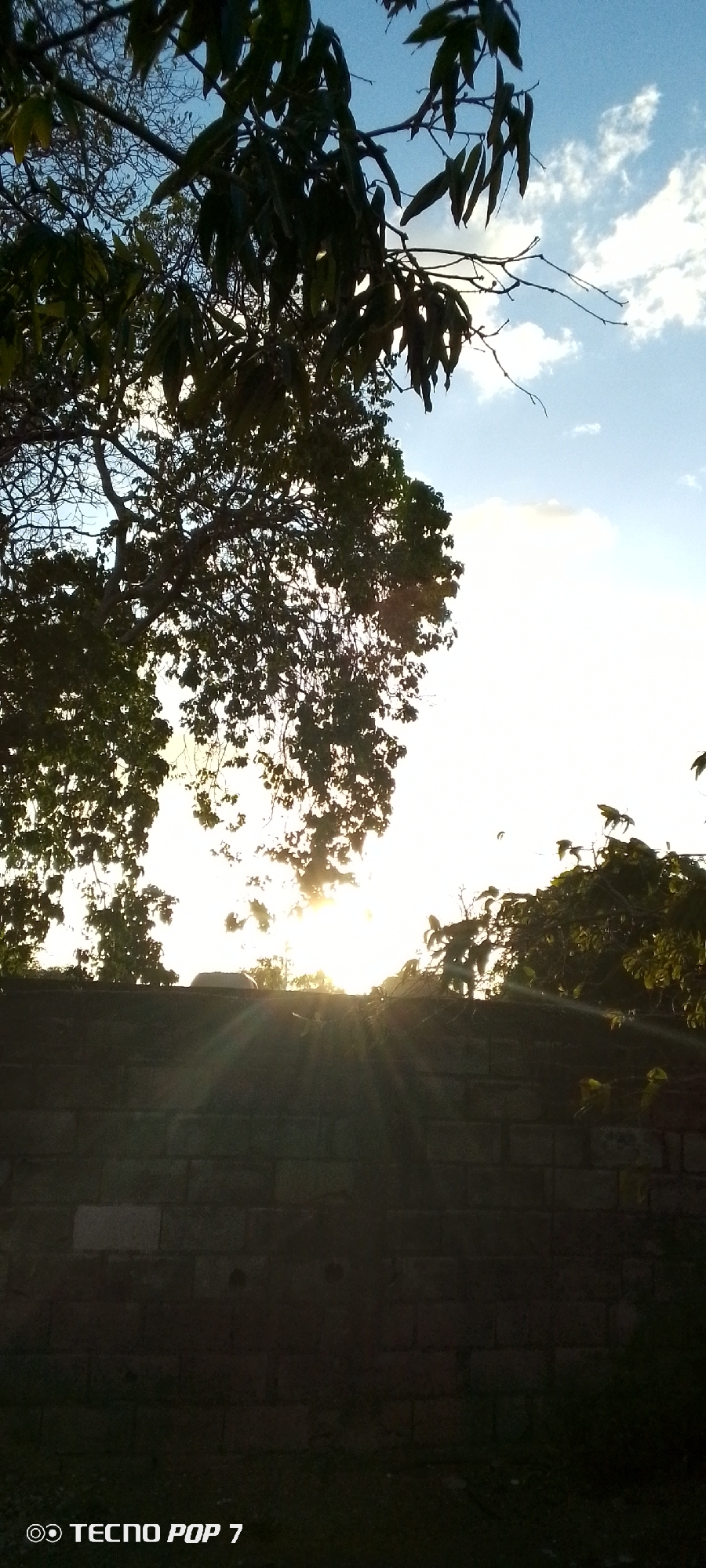 The image shows a low-angle view of a brick wall in Altagracia, Venezuela. Above the wall, the sun is shining through the branches and leaves of trees, creating a silhouetted effect. The sky is visible through the trees, with some clouds present. The ground in front of the wall is obscured in shadow. The bottom left corner of the image contains the text "TECNO POP 7," likely indicating the model of the camera used to take the photograph.