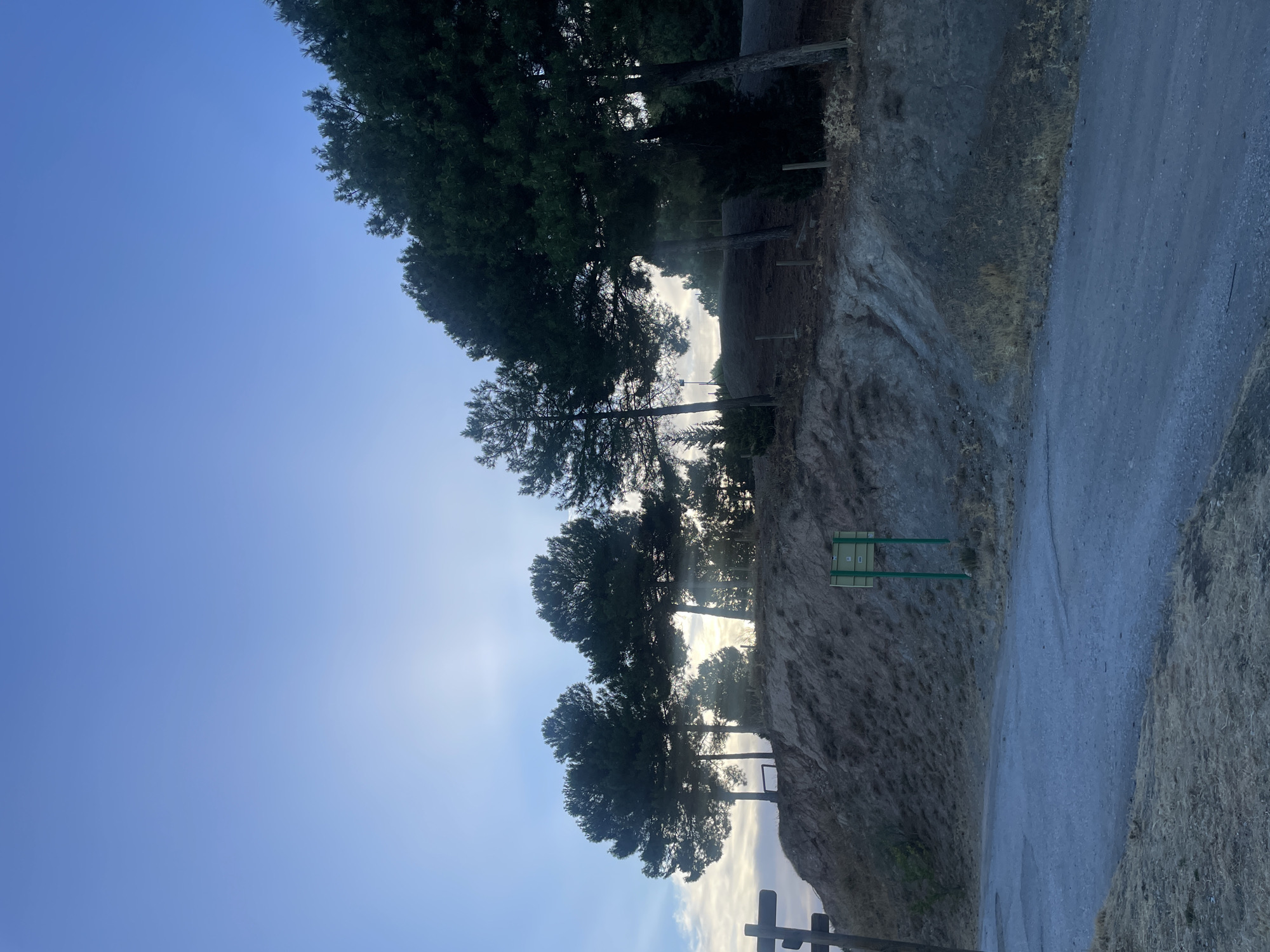 The image depicts a dirt road winding through a hilly, arid landscape with scattered pine trees. The sky is a pale blue, suggesting either early morning or late afternoon light, with the sun's rays filtering through some distant clouds. On the left side of the road, a dark wooden signpost stands, while on the right, a green sign with white text and symbols is mounted on two green poles. The ground is covered in dry grass and rocks, indicating a dry climate. The trees are tall and dense, with some appearing to be significantly older than others. The scene appears to be located in the municipality of Víznar, Spain, a region known for its mountainous terrain and Mediterranean climate.