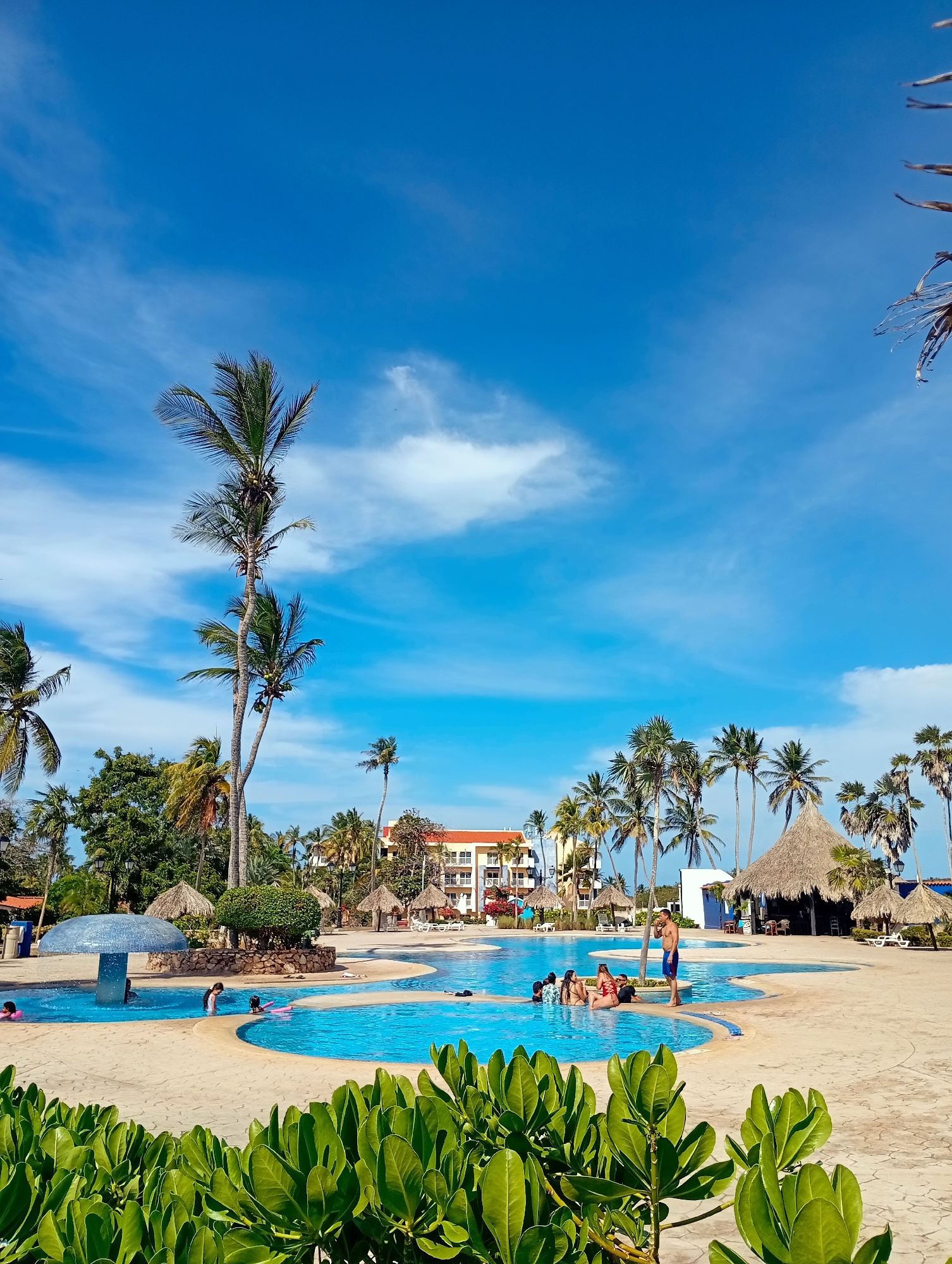The image presents a vibrant tropical resort scene at Playa El Agua, Venezuela, centered around a large, free-form swimming pool under a bright blue sky with scattered white, wispy clouds. The setting suggests a sunny day, likely late morning or early afternoon, bathed in ample sunlight.
In the foreground, lush green foliage forms a natural boundary, framing the expansive pool area. The clear blue water of the pool is a hive of activity, with several people enjoying a leisurely time. In one section, a group of adults or teenagers are gathered, some sitting, others standing in the water, appearing to socialize. A man in blue shorts stands nearby. To the left, two children are visible in another pool section, one wearing a pink floatation device, near a unique blue-tiled, mushroom-shaped water feature that gently cascades water.
The pool area is generously dotted with numerous tall palm trees, enhancing the tropical ambiance. In the background, multiple thatched-roof structures, typical of cabanas or pool bars, are interspersed around the pool's edge. Beyond these, multi-story resort buildings with distinctive orange-red roofs are visible, surrounded by more palm trees and greenery, confirming the hotel or accommodation setting. The overall mood is one of relaxation, enjoyment, and a quintessential vacation experience in a picturesque tropical locale. There is no visible text within the image.