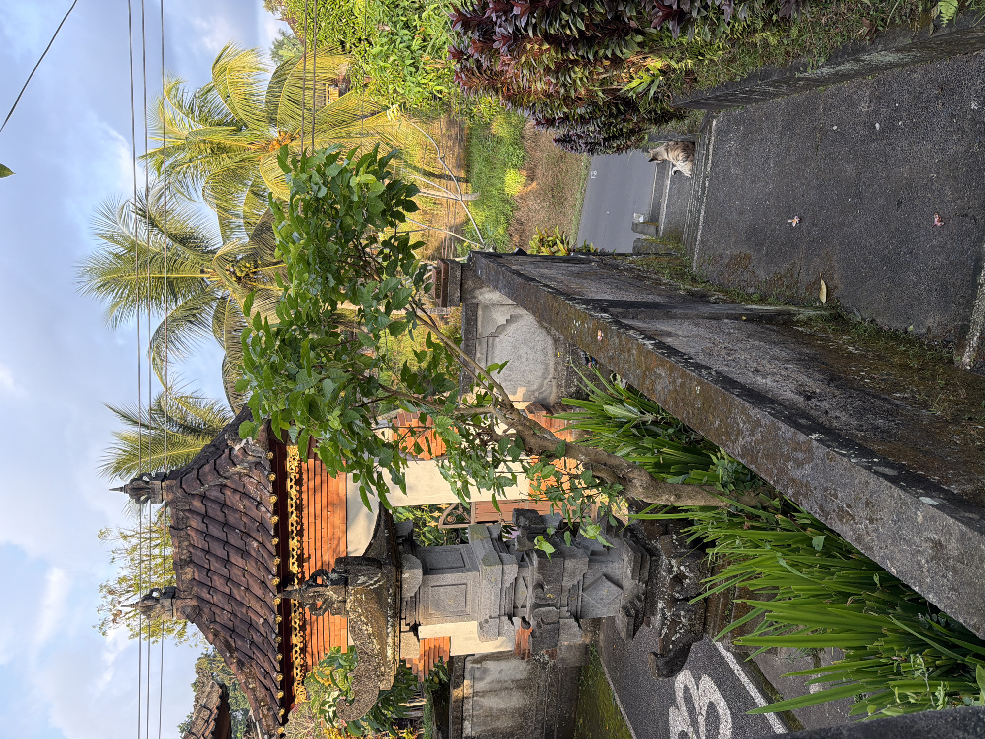 An outdoor medium shot captures a stairway leading down from a wall adorned with plants. A dog is positioned on the steps, looking downwards. The scene is bathed in natural light, with the sky visible in the upper portion of the frame, featuring clouds and power lines. To the left, a traditional Balinese temple structure with a tiled roof stands prominently. Lush greenery, including palm trees, surrounds the temple and the stairway, contributing to a tropical ambiance. The ground is paved, and there are various plants and foliage visible throughout the image.
