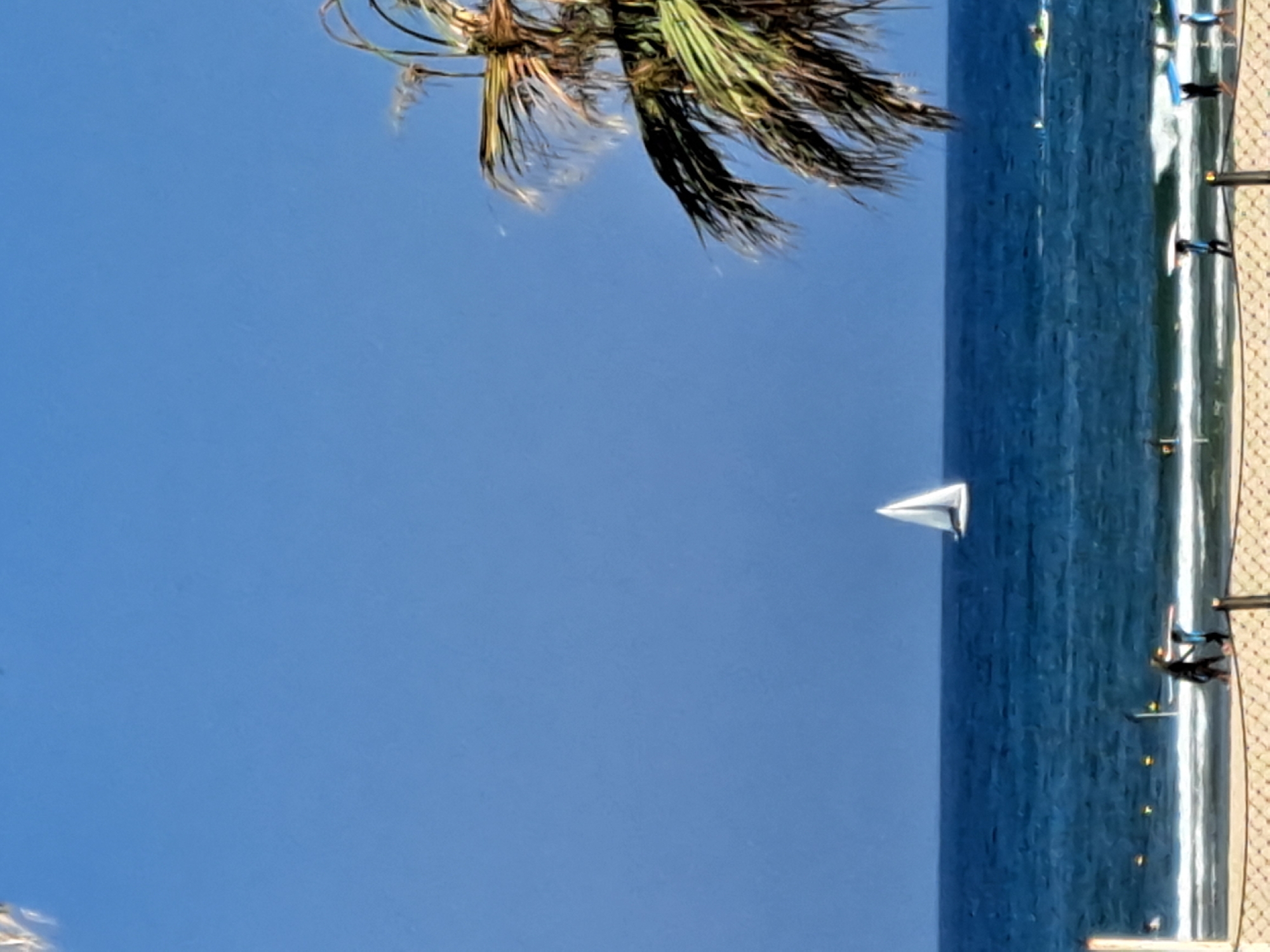 The image depicts a bright, sunny day at a beach in Herzliya, Israel, with a clear blue sky dominating the upper portion of the frame. In the distance, a lone white sailboat with a single sail is visible on the deep blue sea. Closer to the shore, a palm tree with prominent fronds shades the right side of the image, its leaves appearing windswept.
The foreground shows a sandy beach with a net barrier, suggesting a designated swimming or recreational area. Several people are visible on the beach and near the water's edge. Two individuals, one in dark attire and another in lighter clothing, are walking with surfboards. Further down the beach, more figures are present, some carrying surfboards, indicating recreational activities like surfing or paddleboarding. Small yellow buoys are scattered in the water, possibly marking a safe swimming zone or outlining a course. The waves are moderate, creating white foam as they break on the shore. On the far right of the sea, a jet ski can be seen.