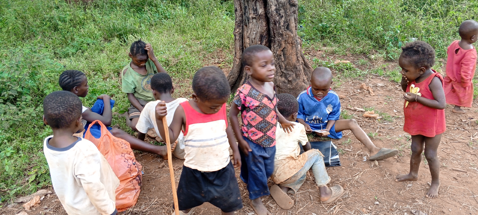 The image displays a group of approximately ten young children, ranging from toddlers to pre-teens, gathered outdoors in what appears to be a rural or undeveloped area of Ngalula, Democratic Republic of the Congo. The setting features a dirt ground and abundant lush green vegetation, including tall grass and bushes, with a large, dark tree trunk serving as a central point for the gathering.
The children, all with dark skin tones, are engaged in various casual activities under natural daylight. One toddler, wearing a red sleeveless top, stands holding and eating a yellow fruit resembling a banana. Another child, dressed in a blue and white striped long-sleeved jersey with the text "FLY EMIRATES" and a visible football club crest (likely Real Madrid's), is seated on the ground, intently focused on a small, flat object that could be a book or a game. Other children are seated or standing around them; one in a faded green t-shirt is scratching their head, another in a white t-shirt holds a wooden stick, and a child in a patterned t-shirt stands near the tree. An orange plastic bag rests on the ground close to some of the seated children. The overall scene suggests a calm, informal daytime gathering in a warm outdoor environment. Their expressions are mostly neutral or focused on their activities.