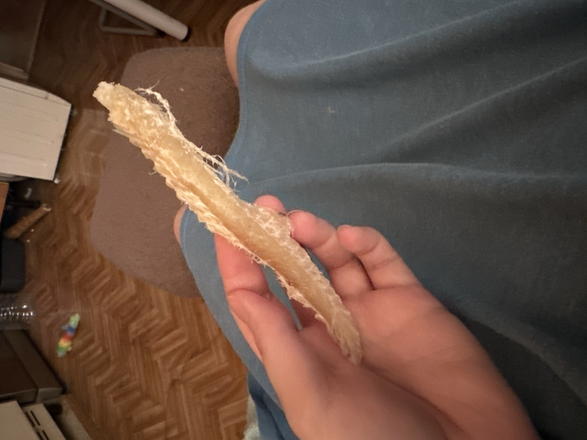 A hand is holding a dog chew indoors, likely a beef pizzle. The hand rests against a blue fabric, likely clothing. The background shows a hardwood floor, a brown rug, and a white object that appears to be a piece of furniture or appliance. There is also a dog toy on the floor. The location cannot be determined to be Moscow, Russia based solely on visual information.