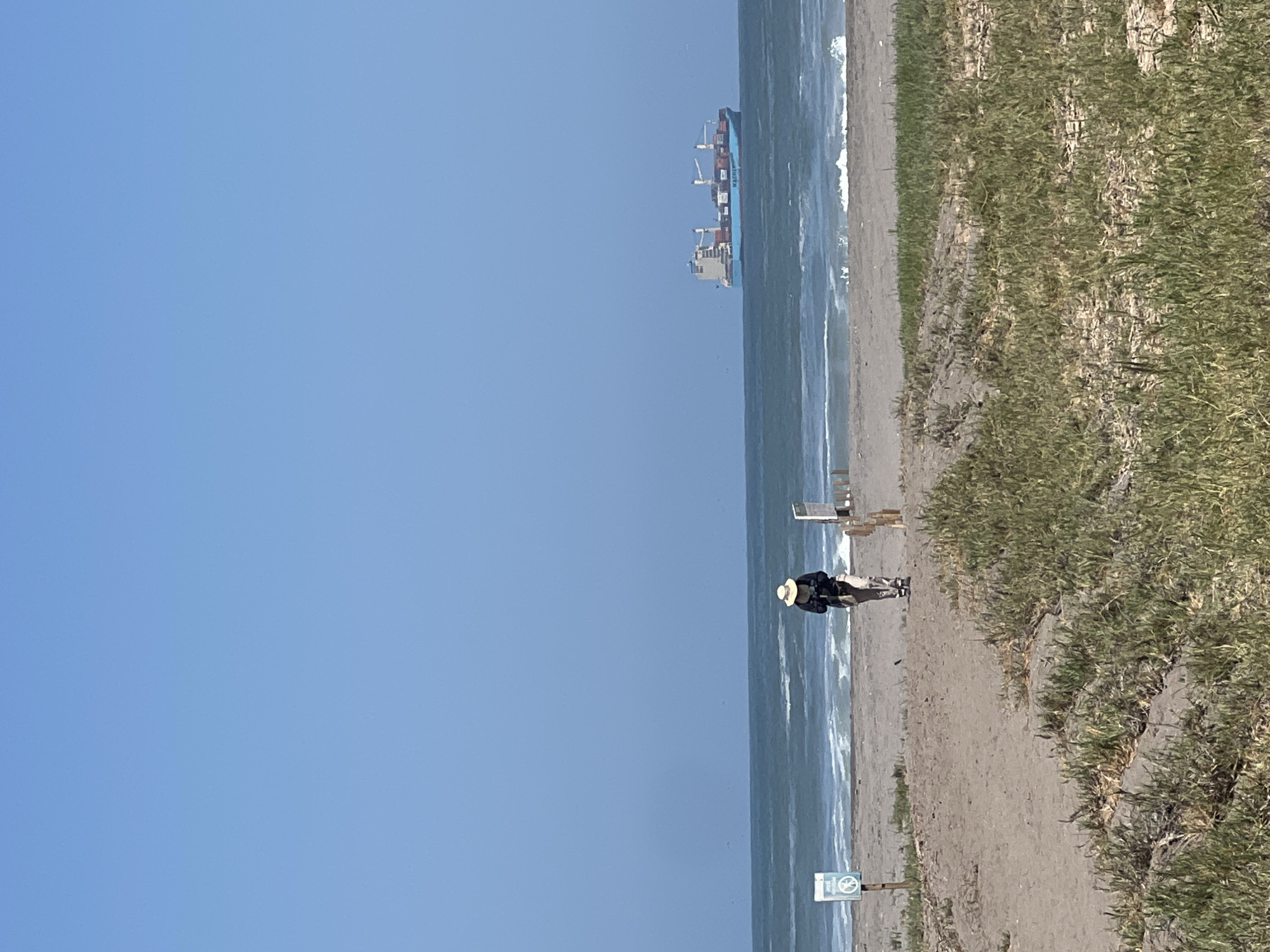 The image shows a coastal scene in Arica, Chile. The view is dominated by a clear, blue sky that takes up over half of the frame. Below the sky is the ocean, with gentle waves lapping at the shore. A large cargo ship is visible in the distance, positioned on the water near the horizon. On the sandy beach, a single person is walking, dressed in dark clothing and wearing a hat. The beach is bordered by tall grass and vegetation that extends along the right side of the image. In the lower part of the scene, there is a signpost near the beach.