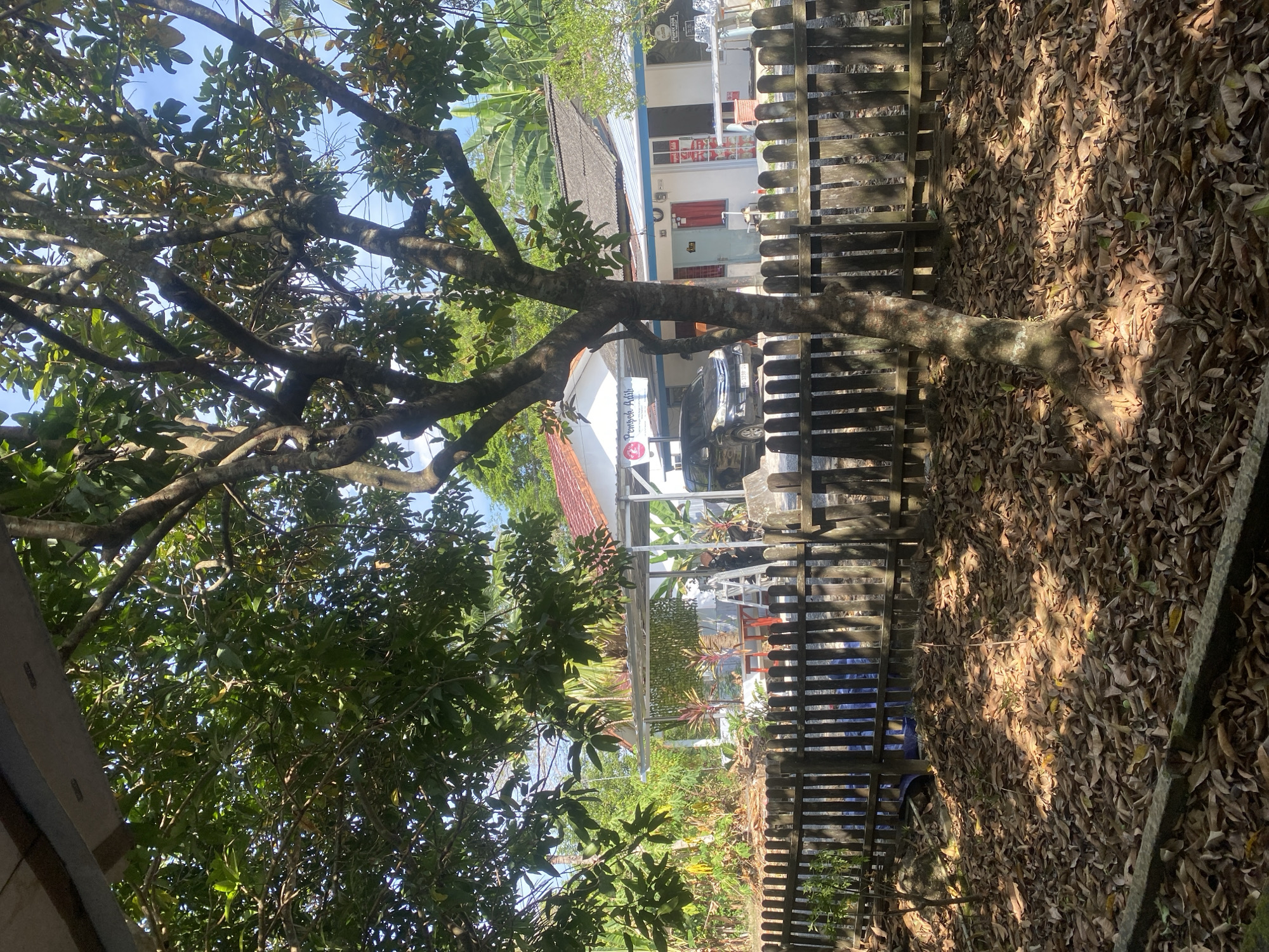 The image captures a view of a residential property in Banjarbaru, Indonesia, on a sunny day. In the foreground, a wooden fence runs across the lower half of the frame, behind which a dense carpet of fallen brown leaves covers the ground. A young tree stands to the right of the fence, its branches extending upwards and partially obscuring the scene beyond.
Behind the fence, a building with a white facade and a grey tiled roof is visible. A covered patio area extends from the front of the building, supported by white posts. A dark-colored van is parked under this patio. The building's entrance features a blue door, and windows with red curtains are present. Signs with text, possibly indicating a business name like "Puek Adib", are affixed to the building.
In the middle ground, to the right of the building, a person dressed in dark clothing and an orange helmet is standing near a ladder. Another person, partially visible, is also near the ladder. Red tables and chairs are set up in front of the building, suggesting an outdoor seating area.
The background is filled with lush green foliage, indicating a tropical environment. Banana trees and other dense vegetation are abundant, creating a natural backdrop for the property. The sky is a clear, bright blue. The overall impression is that of a casual, lived-in residential or small commercial space in a tropical climate.