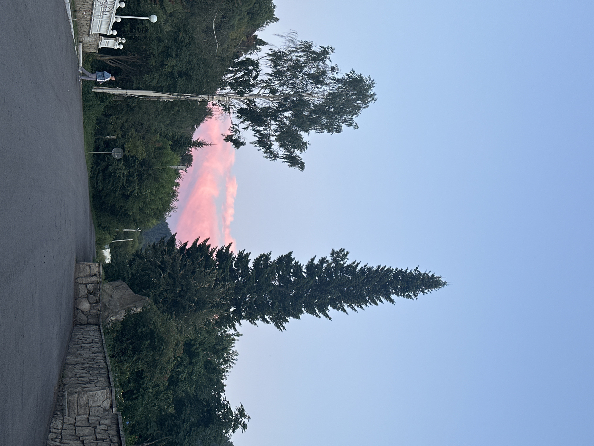 A person is walking on an asphalt road in an outdoor setting at dusk. The person is wearing a blue denim jacket and gray pants. To the left of the road, there is a white stone railing with decorative posts and a lamppost. Behind the railing, there are trees and a hillside. To the right of the road, there is a stone wall. In the background, there are many trees and a tall, slender evergreen tree. The sky is a light blue, with streaks of pink and orange clouds, indicating sunset. The overall scene suggests a peaceful, rural or semi-rural environment. The location is specified as Danilovka (Altai), Russia.