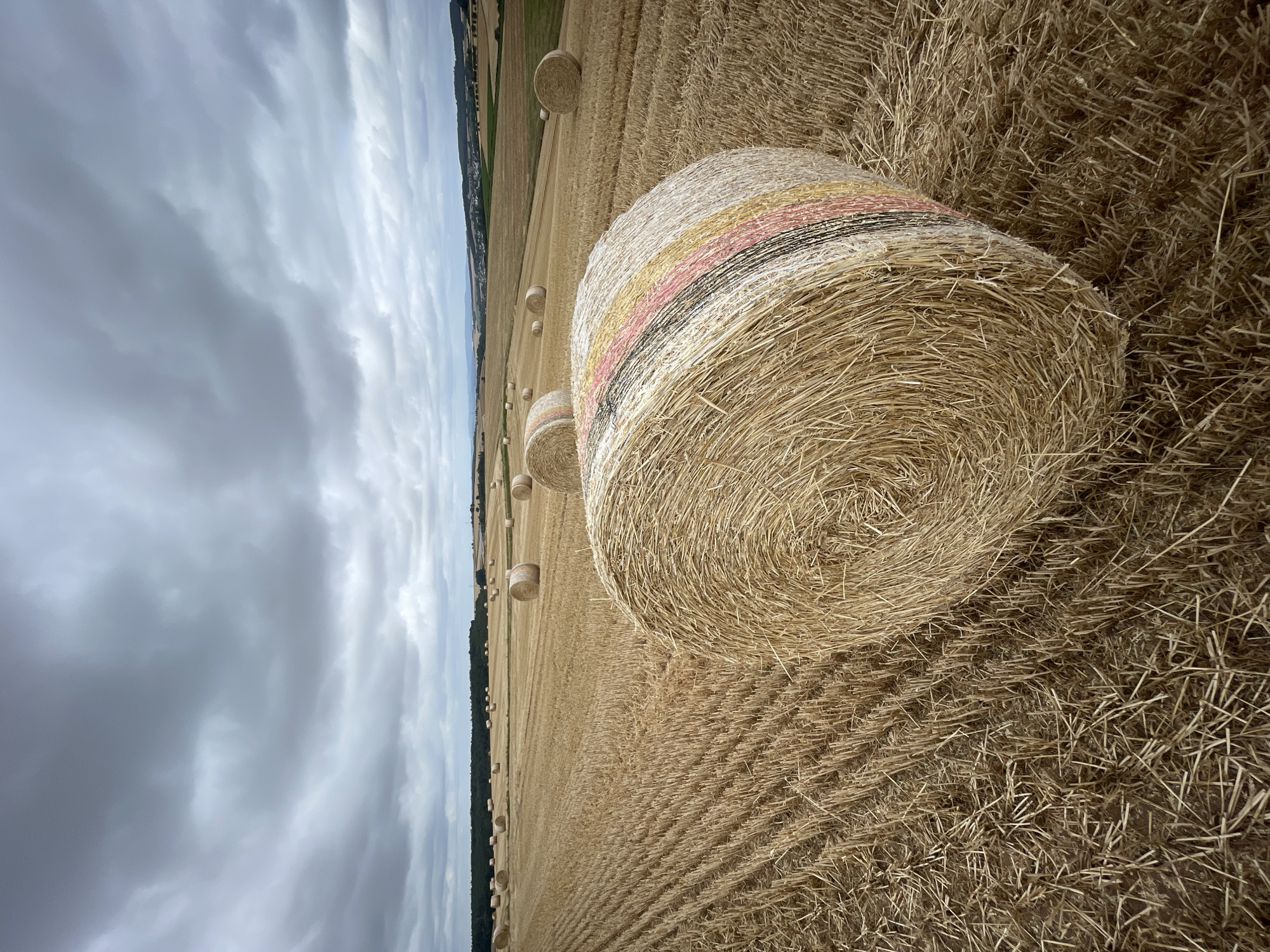 A low-angle, wide-shot photograph captures a harvested field with numerous round hay bales under a heavily clouded sky. In the foreground, a large hay bale with colorful bands of pink, yellow, and black twine is prominently featured. The field is covered in stubble from the harvested crop, with rows of cut stalks visible. In the middle ground, more hay bales are scattered across the field, extending towards a distant treeline. The background reveals a rolling landscape with a small town nestled in the valley, possibly representing the area of Asterode, Germany. The overall atmosphere is somber due to the overcast sky. There are no people or animals visible in the image.