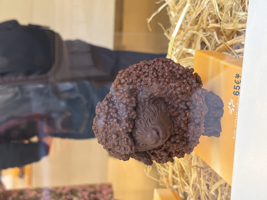 The image displays a chocolate sculpture of a sheep, prominently featured in a retail window display. The sculpture is dark brown, with its body and head intricately textured by numerous small, irregularly shaped chocolate pieces that mimic wool. The sheep's face, ears, and snout are smoother and sculpted with fine details. The sculpture stands on an orange rectangular display base, which clearly shows the price "65€" and partially visible French text "La chocol...", indicating its chocolate composition. Dried hay or straw is scattered around the base of the sculpture, creating a rustic aesthetic.
The scene is viewed through a glass panel, evidenced by significant reflections. These reflections show two blurry human figures in the background. On the far left, a person is visible wearing a light-colored garment with a patterned design. More centrally, another individual is reflected, dressed in dark jeans and a dark top or jacket, with a dark bag slung over their shoulder. The background visible beyond the reflections suggests an indoor commercial environment with light-colored walls or flooring. Based on the Euro currency and French text, the location is a commercial establishment, likely a chocolatier or patisserie, in Paris, France.
