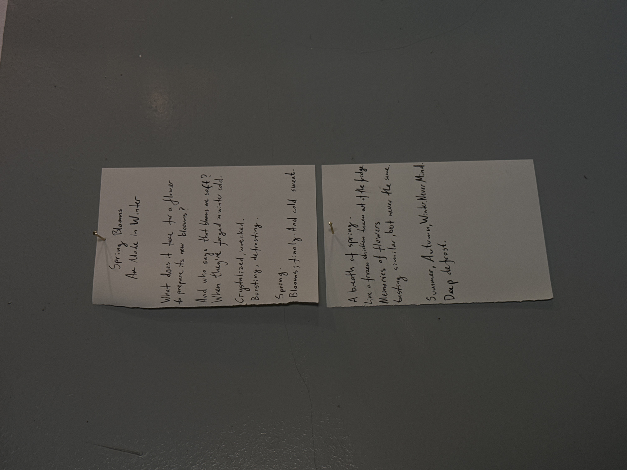 The image shows two white, rectangular pieces of paper pinned to a gray surface, likely a wall or board. Handwritten text in black ink is visible on both pieces of paper, suggesting they are notes or a draft of a poem or creative writing. The left piece contains the title "Spring Blooms" and continues with lines such as "Are Made In Winter" and "What does it take for a flower / to prepare its new blooms?" The right piece begins with "A breath of spring." and continues with lines such as "Like a frozen chicken taken out of the fridge." and "Summer, Autumn, Winter, Never Mind / Deep defrost." There is no indication of the city of Milan, Italy, or people, actions, or interactions within the scene.