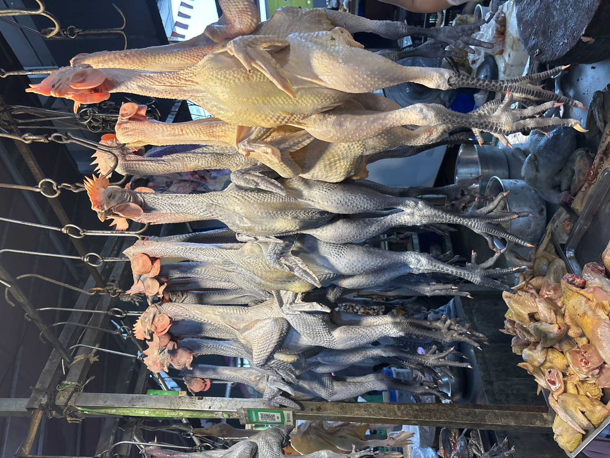 The image depicts a meat vendor's display of hanging poultry in Jiangjin, China. Two rows of whole, plucked chickens hang on metal hooks, suspended from a metal rack. The top row consists of light-skinned chickens, while the bottom row features dark-skinned chickens. Below and to the right of the hanging chickens, is a tray full of pieces of cut up chicken.