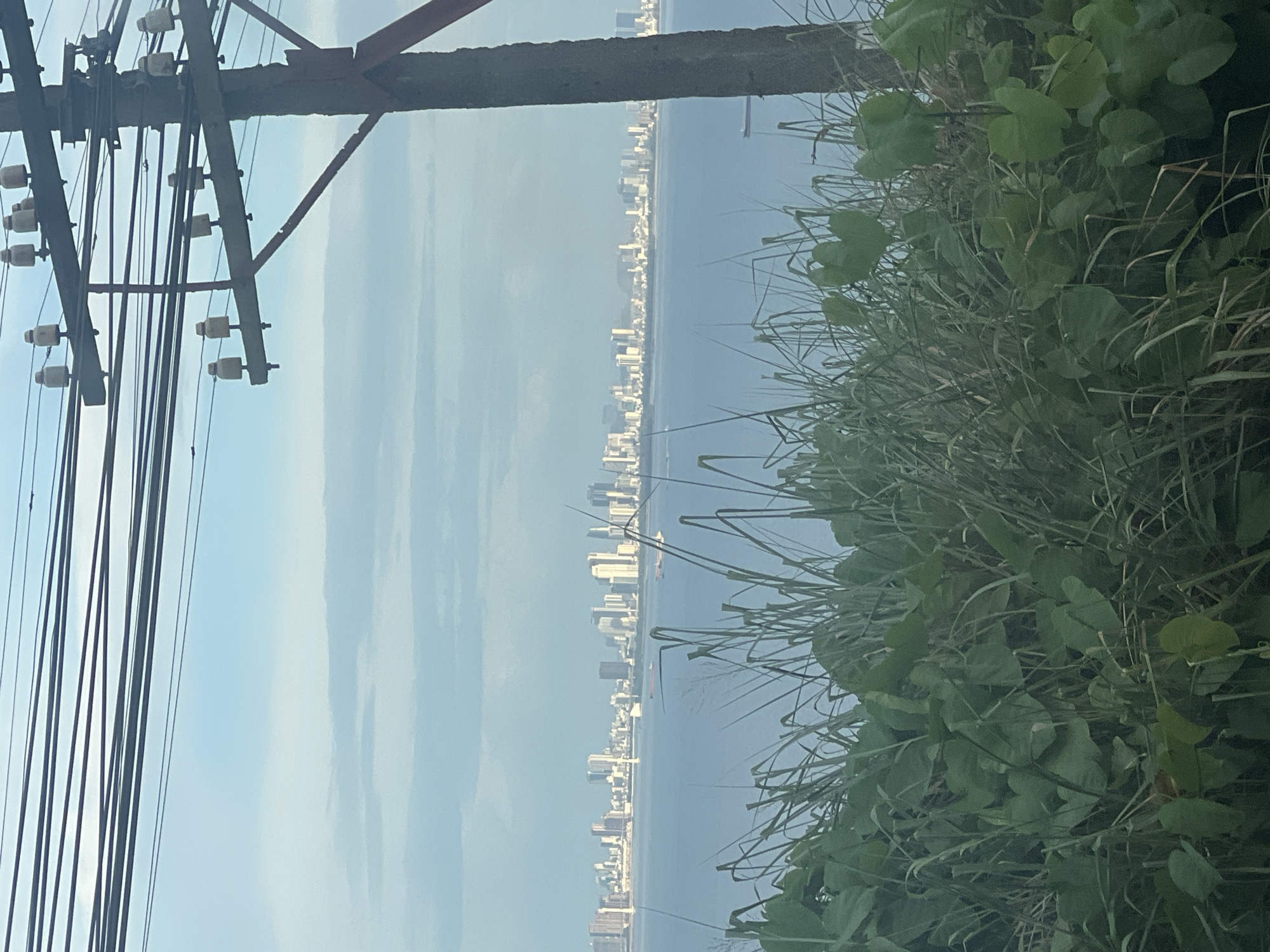 The image captures a panoramic view of a cityscape across a body of water, likely the Perfume River in Huế, Vietnam. In the foreground, dense green vegetation, including broad-leafed plants and tall grasses, obscures the lower portion of the frame. Overhead, a network of power lines supported by a utility pole dominates the upper section of the image. The pole itself is rough and weathered, with multiple crossbars holding numerous ceramic insulators. Beyond the vegetation and water, a sprawling urban skyline is visible, characterized by a collection of high-rise buildings of varying heights and architectural styles. The water in the middle ground appears calm, with a few distant ships visible. The sky above is a pale blue, with soft, scattered clouds. The overall impression is a juxtaposition of natural elements in the foreground, urban infrastructure above, and a distant city on the horizon.