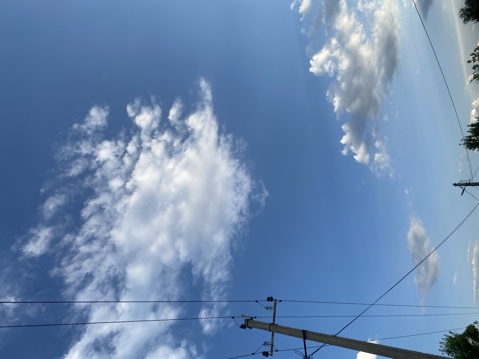 This is an outdoor, low-angle shot of a clear blue sky with scattered white clouds. In the foreground, a utility pole is visible on the left side of the image, with wires extending across the frame. The pole appears to be made of concrete and is equipped with insulators. The environment suggests a setting in Bishkek City, Kyrgyzstan, possibly in a suburban or semi-rural area, given the presence of overhead power lines. There are no people or animals visible in the frame. The lower portion of the image shows the tops of green trees and a hint of another utility pole further in the distance.