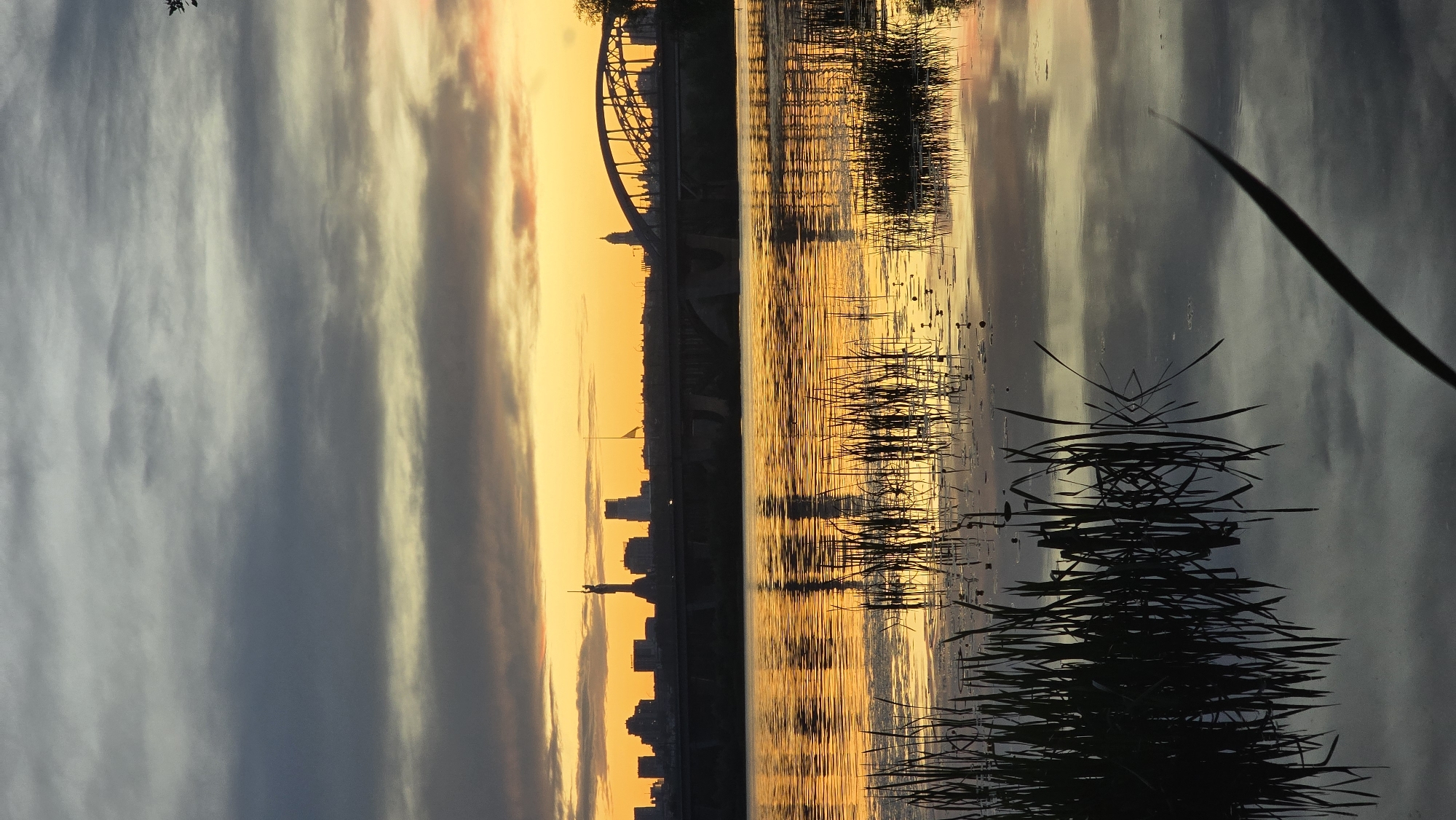 The image depicts a sunset over the Dnipro River in Kyiv, Ukraine. Silhouetted against the orange and yellow sky are the city's skyline, featuring a monument with a raised arm, and a bridge with a distinctive arch. Tall reeds stand in the foreground, their dark reflections mirrored in the still water, which also reflects the colors of the sky and the distant cityscape. The clouds are a mix of grey and yellow, indicating the fading light of day. The overall scene is serene and evokes a sense of twilight in an urban landscape.