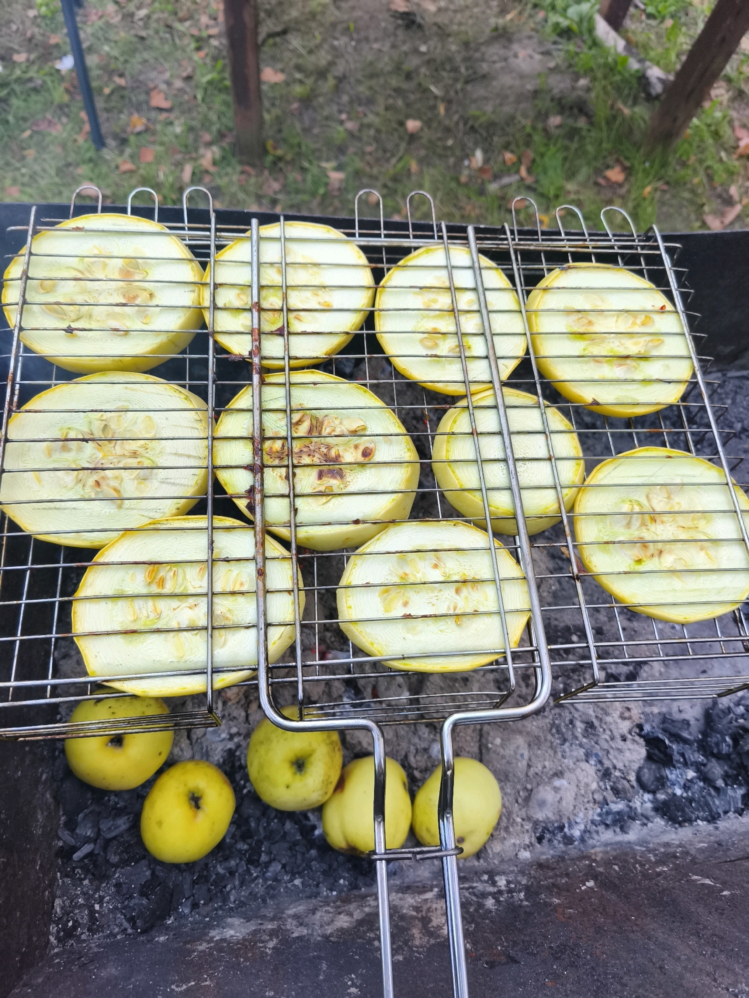 In the city of Parechcha, Belarus, an outdoor cooking scene unfolds. A metal grill basket holds several thick slices of yellow squash, arranged in two rows. The squash slices are circular, with visible seeds and a pale yellow flesh. Below the grill, on hot coals, rest several small, yellow apples. The background shows a patch of grass and a wooden pole, suggesting a natural or park-like setting. The overall impression is of a simple, rustic barbecue.