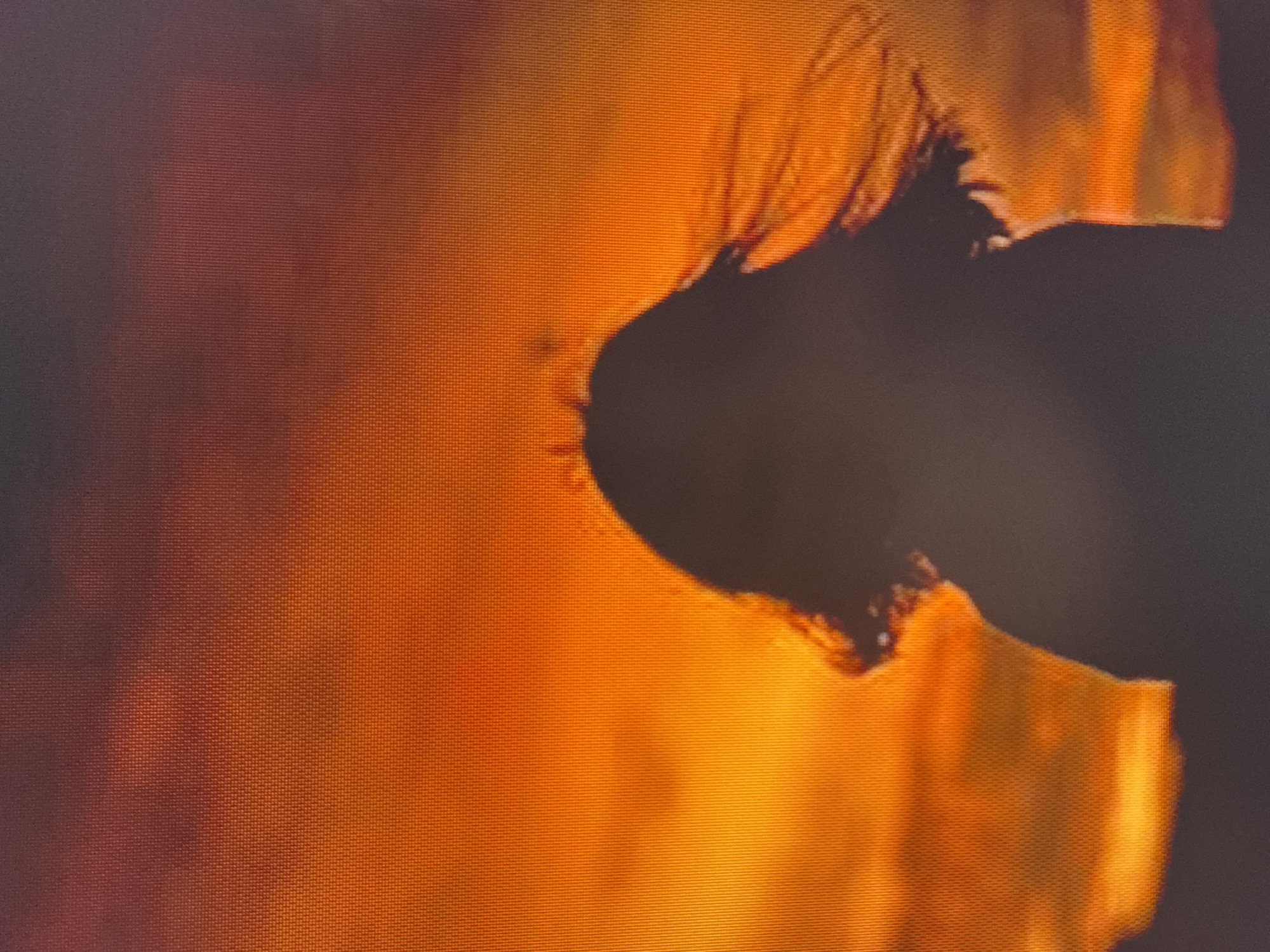 The image is a close-up, slightly blurry shot of the silhouette of a person's head and shoulders against a vibrant orange and red sky, likely a sunset or sunrise. The person's hair appears to be blowing in the wind, with strands fanning out around their head. The background is a gradient of warm colors, transitioning from bright orange at the bottom to darker reds and purples at the top, with a visible pixelated texture indicating it's a digital image or screen. There is no discernible location within Szczecin, Poland, visible in this image. The focus is solely on the silhouette and the dramatic sky.