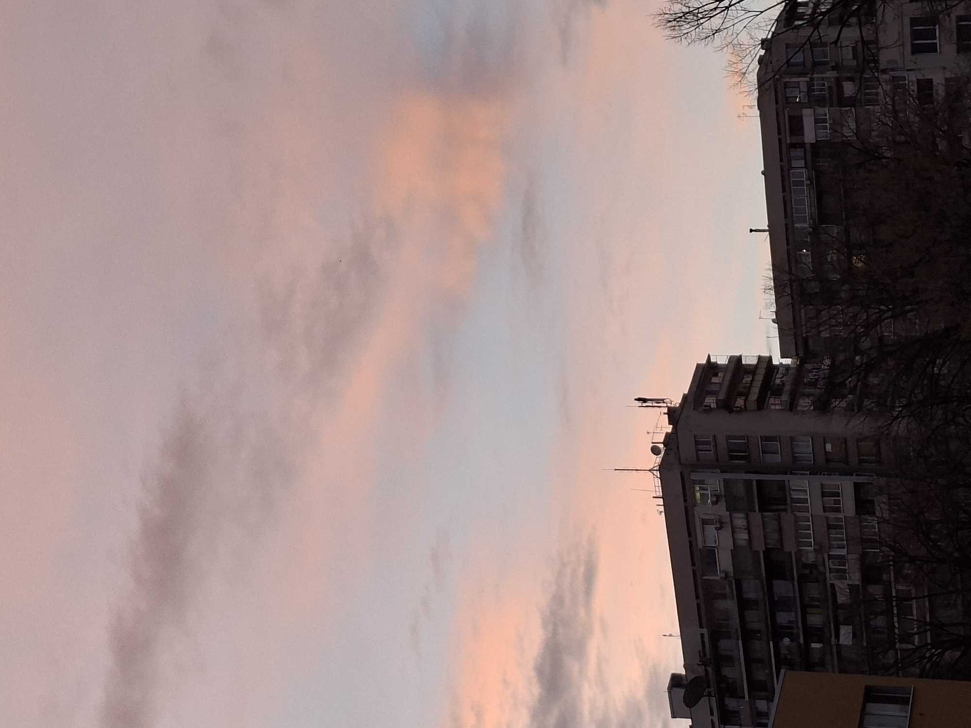 The image captures an urban scene in Plovdiv, Bulgaria, at what appears to be dusk or dawn, given the pink and grey-toned sky. Two tall, dilapidated residential apartment buildings dominate the right side of the frame. Bare tree branches frame the buildings, suggesting it is winter or early spring. Antennas and satellite dishes are visible on the rooftops of the buildings. The sky is mostly clear with some elongated clouds streaked with pink, grey, and hints of blue. There is no explicit sign of human activity.