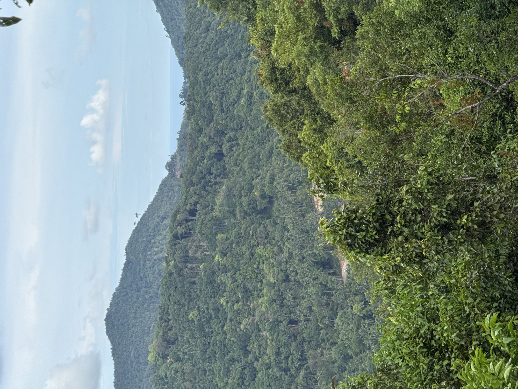 The image depicts a lush, green mountainous landscape in Moo 7, Thailand. The foreground is dominated by dense foliage, with the vegetation extending towards the right side of the frame. The background reveals layers of verdant hills, fading into the distance under a partly cloudy sky. The horizon is barely visible between the hills, hinting at a distant body of water. No people, objects, actions, or interactions are discernible within the depicted scene.
