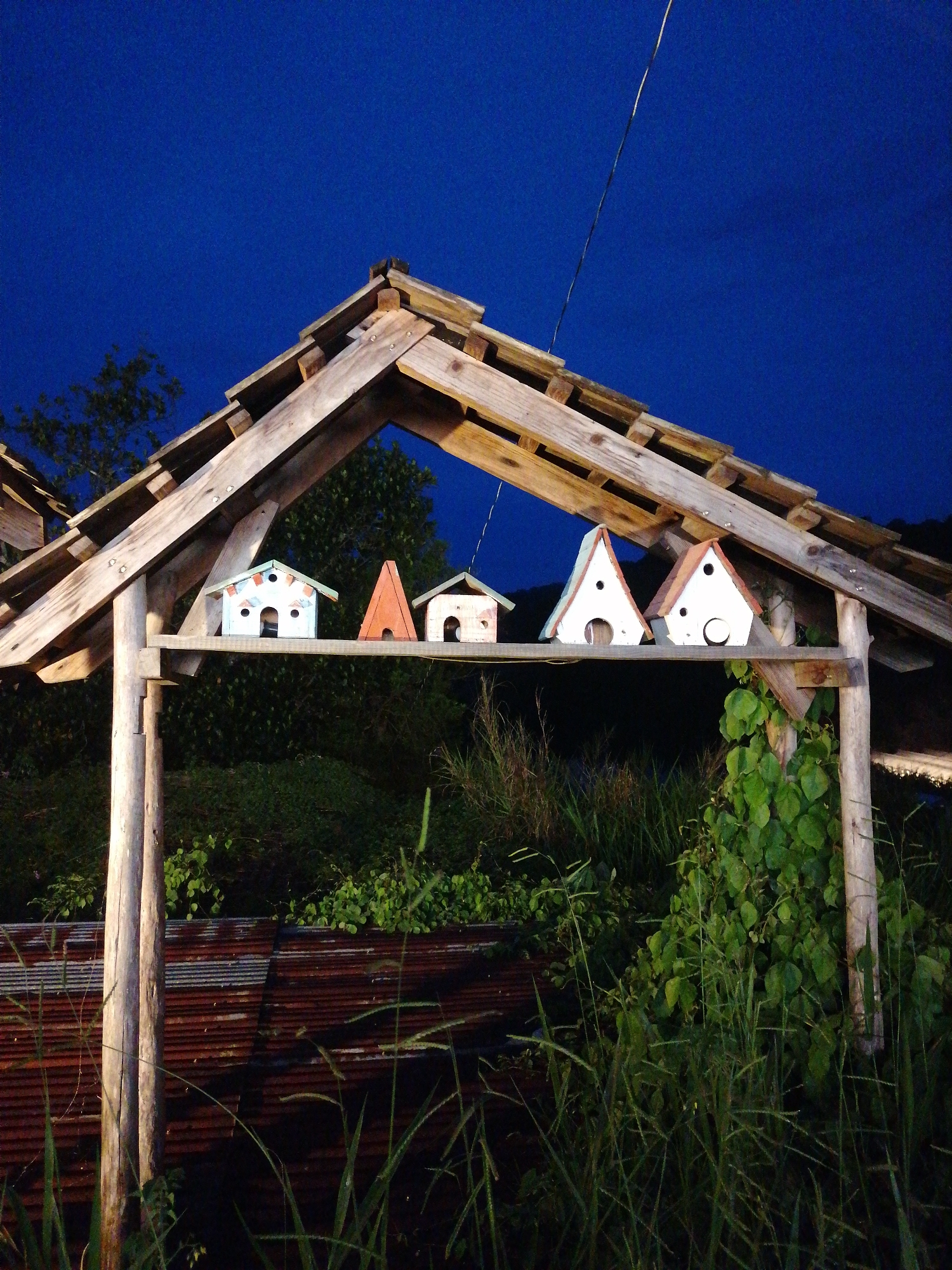 A wide-angle shot of a wooden structure with a gabled roof in an outdoor setting, likely in Da Lat, Vietnam. The roof is constructed from weathered wooden beams and planks. Underneath the roof are five birdhouses of varying shapes and colors. The birdhouses sit on a wooden shelf supported by two wooden posts that form the structure's frame. Overgrown vegetation surrounds the structure, including tall grasses and climbing vines that partially obscure a corrugated metal sheet behind it. The background features a dark blue sky, suggesting either dusk or nighttime. Trees are visible in the mid-ground behind the structure. The overall scene is rustic and slightly overgrown.