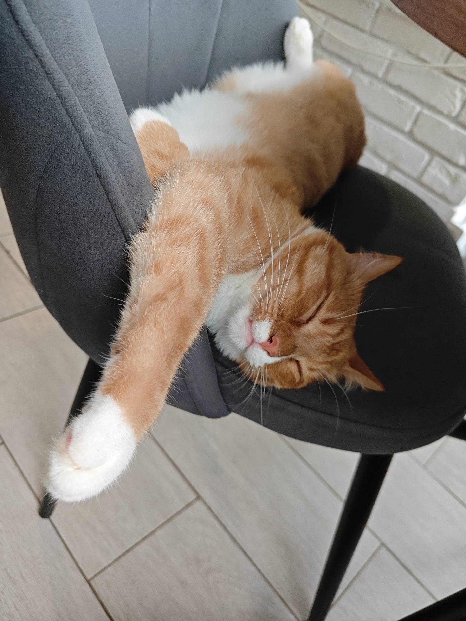 A ginger and white cat is sleeping stretched out across a dark grey chair. The cat's eyes are closed, and its head is resting on the seat of the chair, with its body extending downwards and to the left. One of its front paws hangs off the edge of the chair, showing white fur and pink pads. The background shows a light-colored tiled floor and a white brick wall. The location of this scene is in Borovsk, Russia.