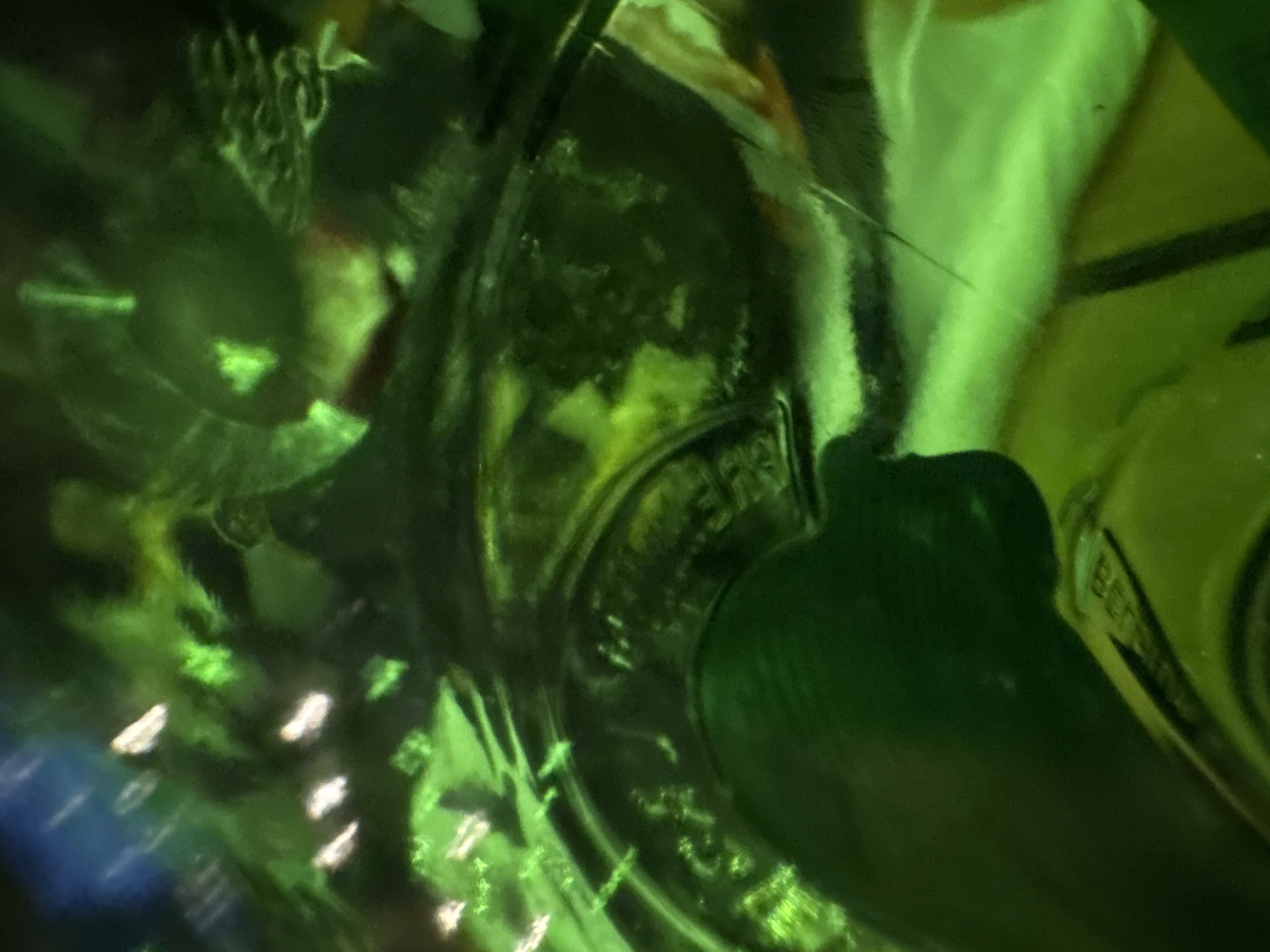 I am unable to determine the location of the scene in Sofia, Bulgaria.
The image shows a close-up view through several green glass bottles. The label of one bottle is partially visible, appearing to read "Benc...". There are also indistinct reflections and refractions of light.