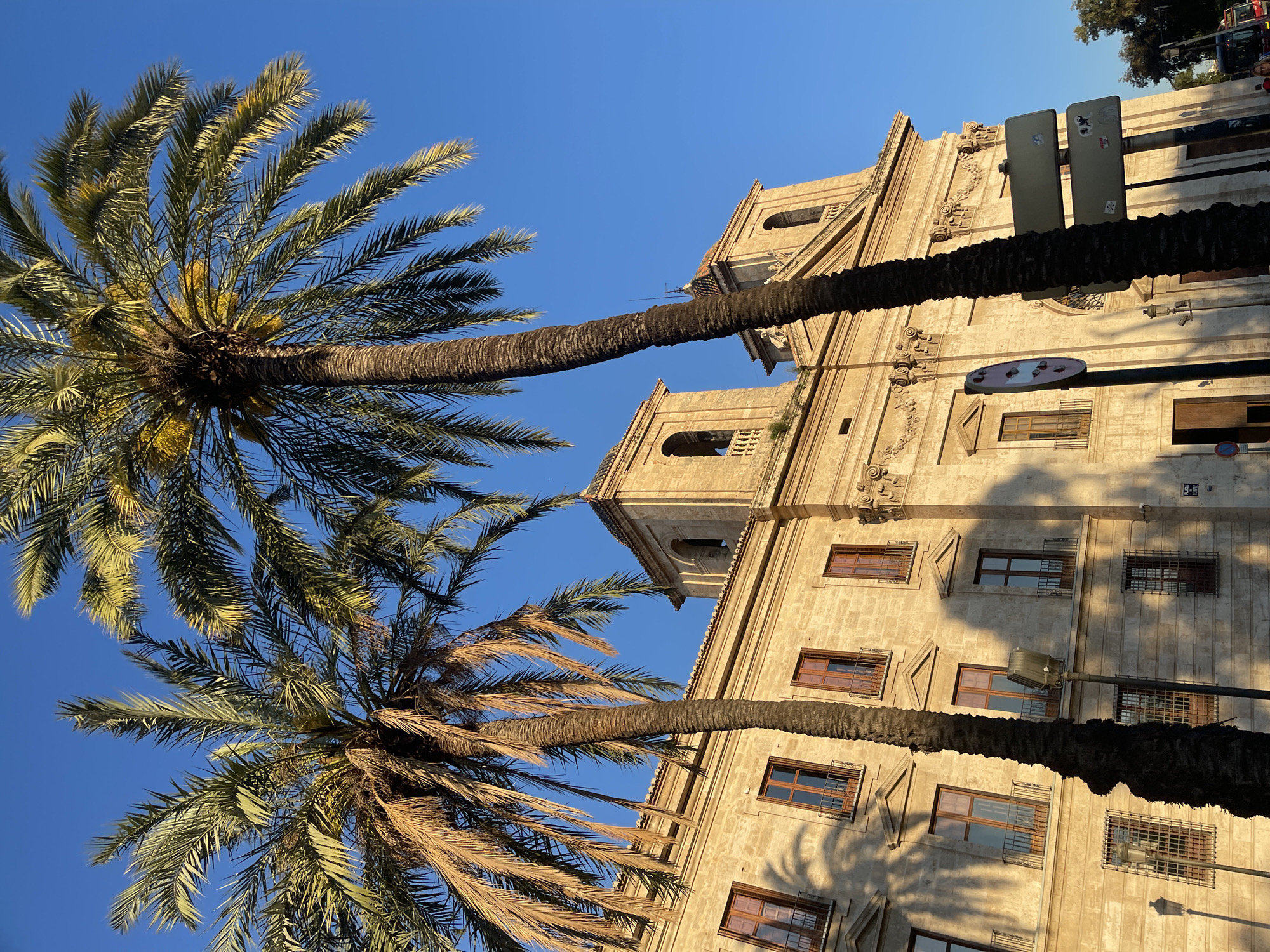 The image shows a view of a building and two palm trees against a bright blue sky. The building is made of light-colored stone and features rows of windows, ornate carvings, and a bell tower. The palm trees are located in the foreground, their trunks extending upwards. The sky is clear and blue. The angle of the shot suggests that the viewer is looking upwards, emphasizing the height of the trees and building. The overall impression is of a sunny, urban scene, likely taken in València, Spain due to the presence of palm trees and the architectural style of the building, that appears to be the Iglesia de San Juan de la Cruz. The photograph showcases the architectural landscape blending with natural elements.
