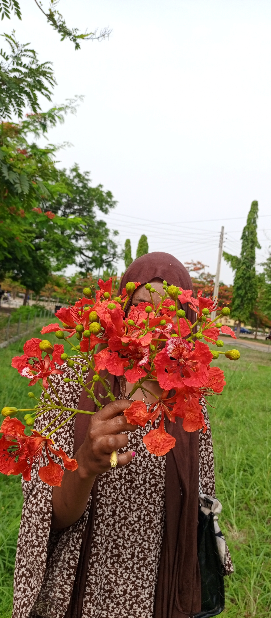 An outdoor, eye-level shot features a person, likely female, holding a large bouquet of vibrant red and orange flowers with green buds, which obscure most of her face, revealing only her eyes. She is wearing a brown hijab and a brown and white patterned top. Her right hand, adorned with a golden ring and pink nail polish, holds the flower stems. A black bag with a patterned scarf handle is visible on her left side.
The setting is a grassy area under an overcast sky, suggesting a cloudy daytime. In the background, lush green trees, some bearing red flowers similar to those held, are visible. Utility poles with power lines stretch across the midground. The overall impression is a natural and serene environment. No visible text is present in the image. The flowers strongly resemble those of the Flamboyant tree (Delonix regia), commonly found in Keffi, Nigeria, which aligns with the provided location context.