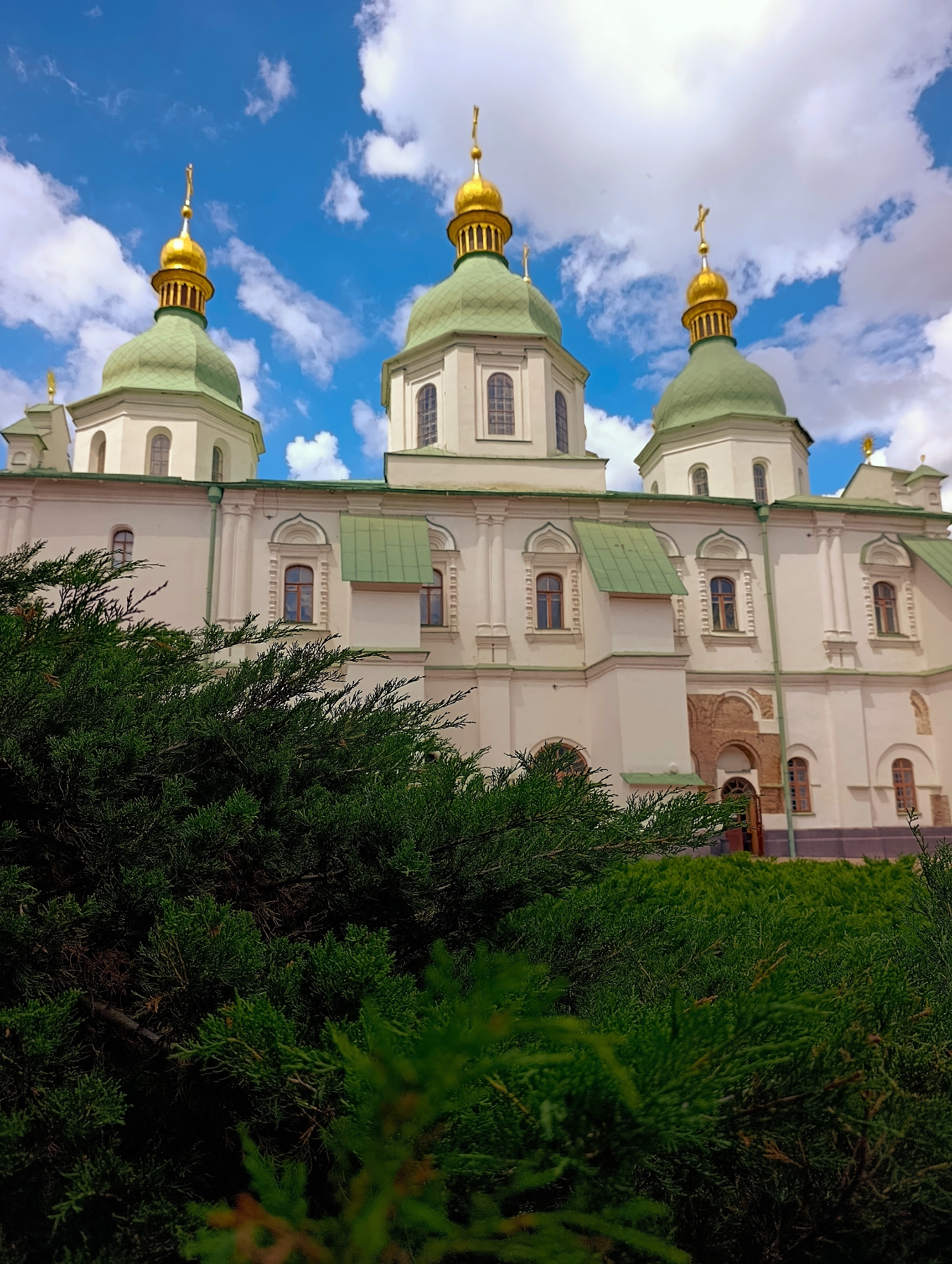 The image depicts the Saint Sophia Cathedral, a UNESCO World Heritage Site located in Kyiv, Ukraine. The cathedral's iconic green domes and golden cupolas are visible against a vibrant blue sky dotted with white clouds. The white facade of the cathedral is characterized by numerous arched windows with wooden frames. In the foreground, lush green cypress trees partially obscure the view of the cathedral's lower section. The scene is captured from a low angle, emphasizing the grandeur of the architectural structure. There are no people or animals visible in the image.