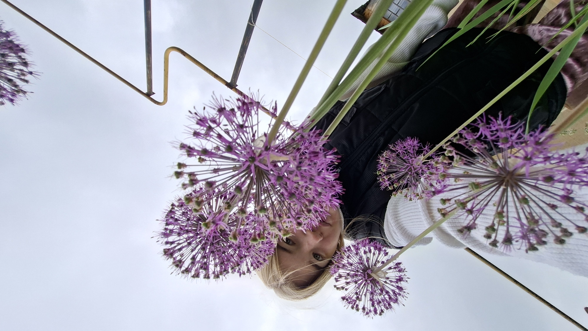 A low-angle shot depicts a person with blonde hair and fair skin partially visible among several spherical, purple allium flowers. The individual is wearing a black vest and a white sweater. In the background, a cloudy sky is visible along with a metal structure and green foliage. The location is Большой Букор, Russia.