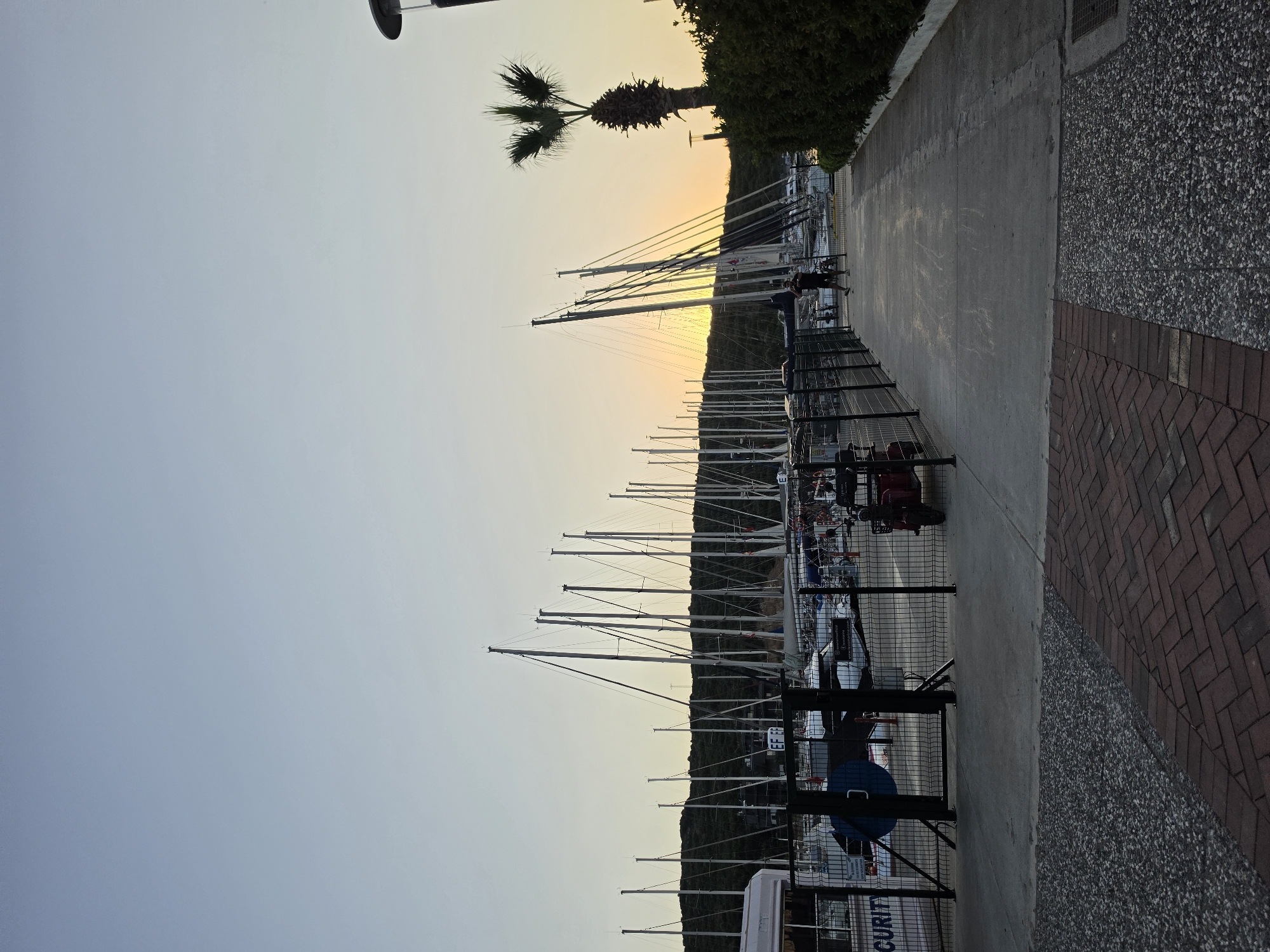 The image depicts a marina in Seferihisar, Turkey, during what appears to be sunset or dawn. The sky is a pale yellow and orange gradient, indicating the sun is low on the horizon. A palm tree and dense green foliage line the background, with a backdrop of a forested hill.
The main subjects are numerous sailboats moored in the marina, their masts creating a prominent vertical line against the sky. A paved walkway runs along the edge of the marina, bordered by a wire fence. On the walkway, two people are visible in silhouette, one appearing to be walking a dog or pushing a cart, and another standing.
Further along the walkway, several objects are visible behind the fence, including what appear to be carts or small vehicles, and some blue bins. One fence gate has a sign that is partially visible, with the word "SECURITY" clearly legible.
The overall mood is peaceful and serene, capturing the quiet beauty of a coastal marina at a transitional time of day. The lighting suggests soft, diffused light, characteristic of sunrise or sunset. The scene is set by the presence of the marina and the natural landscape of the coast.