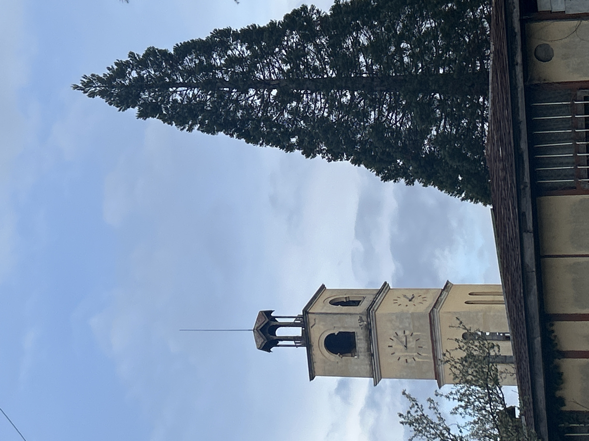 The image captures a clock tower in Zlatograd, Bulgaria. The tower is beige with arched openings and clocks on multiple sides. A tall, coniferous tree stands adjacent to the tower, reaching upwards into the cloudy sky. Part of a building is visible to the right of the tower, with a brick section and a window with metal bars. A small tree or bush is partially visible near the base of the tower. The sky is overcast with shades of blue and grey.