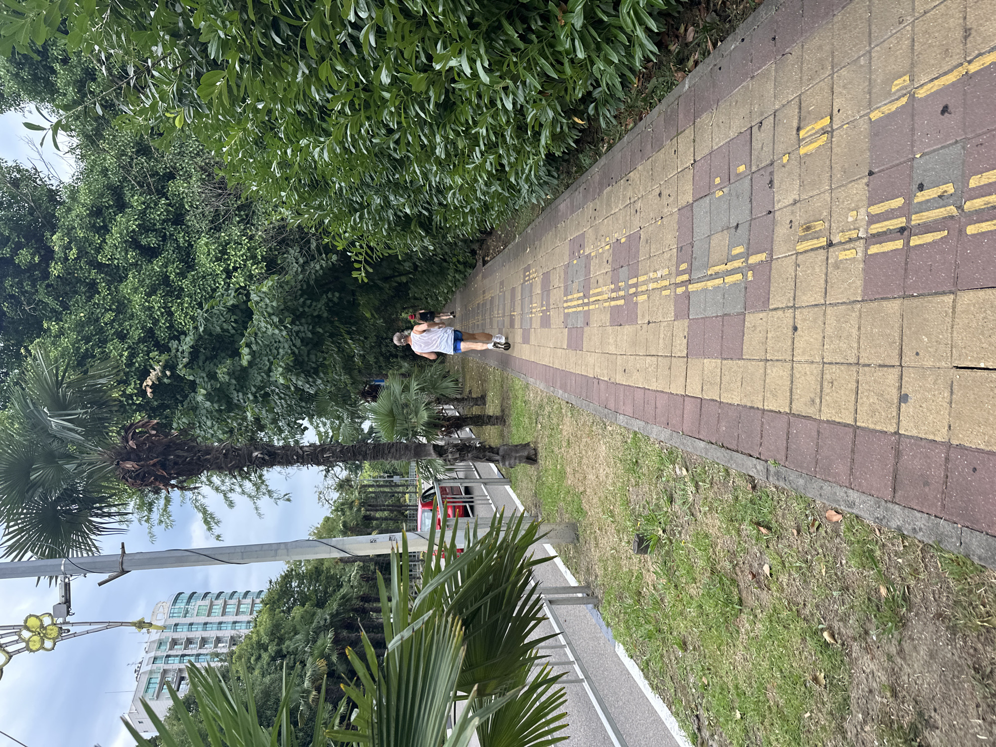 In Sochi, Russia, on a cloudy day, a person runs along a paved sidewalk. The sidewalk is made of square tiles in alternating shades of reddish-brown and yellow. Yellow tactile paving strips are embedded in the tiles, indicating a path. The runner, wearing a white tank top and blue shorts, is seen from behind, moving away from the camera. To the left of the sidewalk is a grassy area with some dry patches, bordered by a metal railing and a road. Beyond the road, a red car is visible. Further in the background on the left, a modern, multi-story building with a curved facade and numerous windows stands among palm trees and other greenery. To the right of the sidewalk, a dense hedge of dark green, glossy leaves creates a natural barrier. Tall palm trees and lush foliage line the path, contributing to a tropical or subtropical atmosphere. The overall scene depicts a recreational area within a city, likely a promenade or park path, characterized by a mix of urban architecture and abundant vegetation.