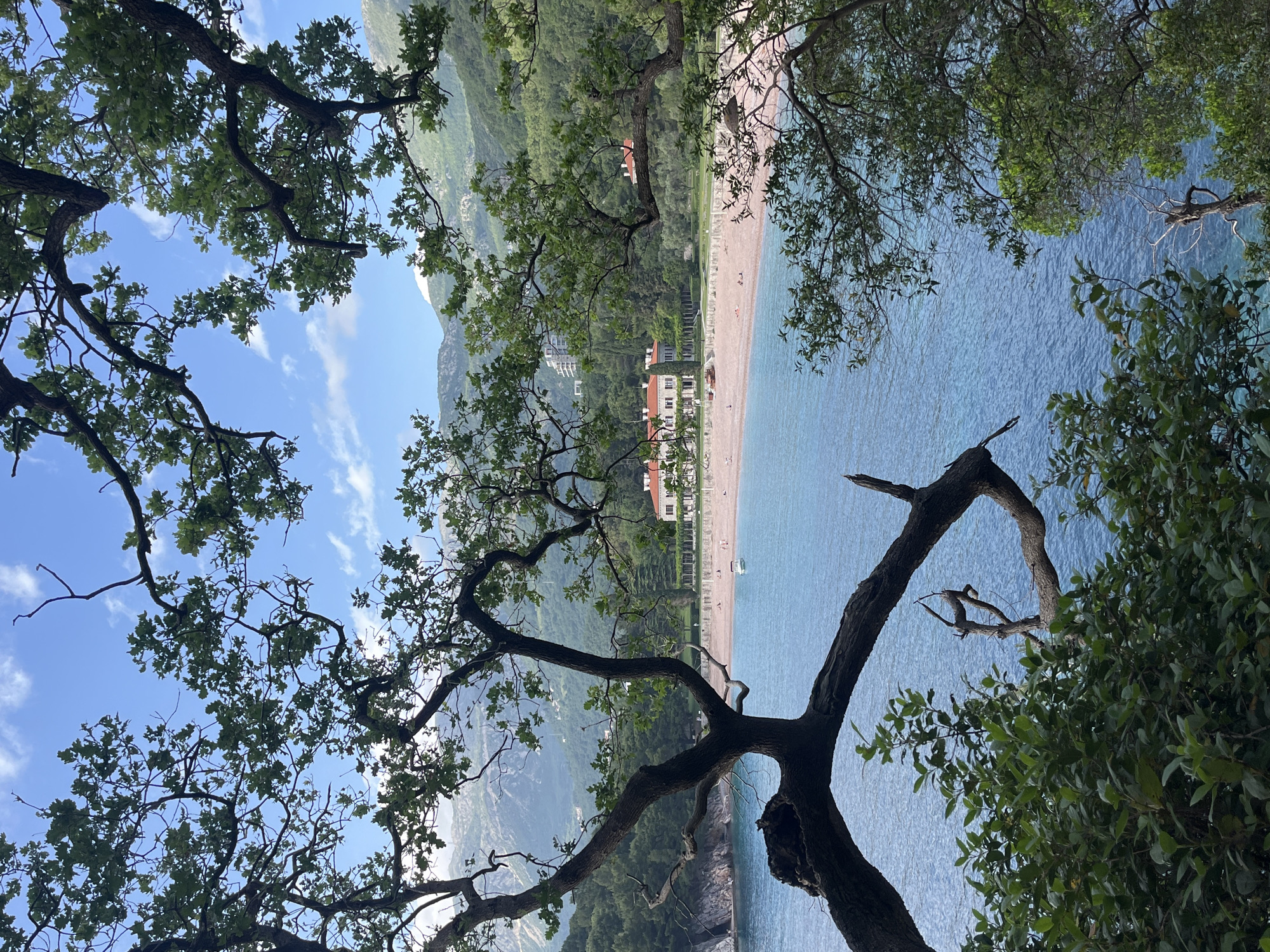 Captured from an elevated vantage point in Bečići, Montenegro, this photograph frames a serene beach scene through the natural lens of foreground trees. The perspective is slightly angled, with the coastline stretching horizontally across the middle ground. A sandy beach is populated with sparse human figures, suggesting a tranquil atmosphere. Adjacent to the beach are resort buildings with prominent orange rooftops, nestled amidst lush greenery that extends up the adjacent hillside. The aquamarine water of the Adriatic Sea occupies a significant portion of the frame, contrasting sharply with the sandy beach and the verdant vegetation. Foreground elements consist of the branches and foliage of mature trees, which provide a natural frame for the scene and partially obscure the sky. The sky peeks through the leaves, revealing a partly cloudy day. Overall, the image portrays a scenic coastal landscape with a balance of natural and built environments.