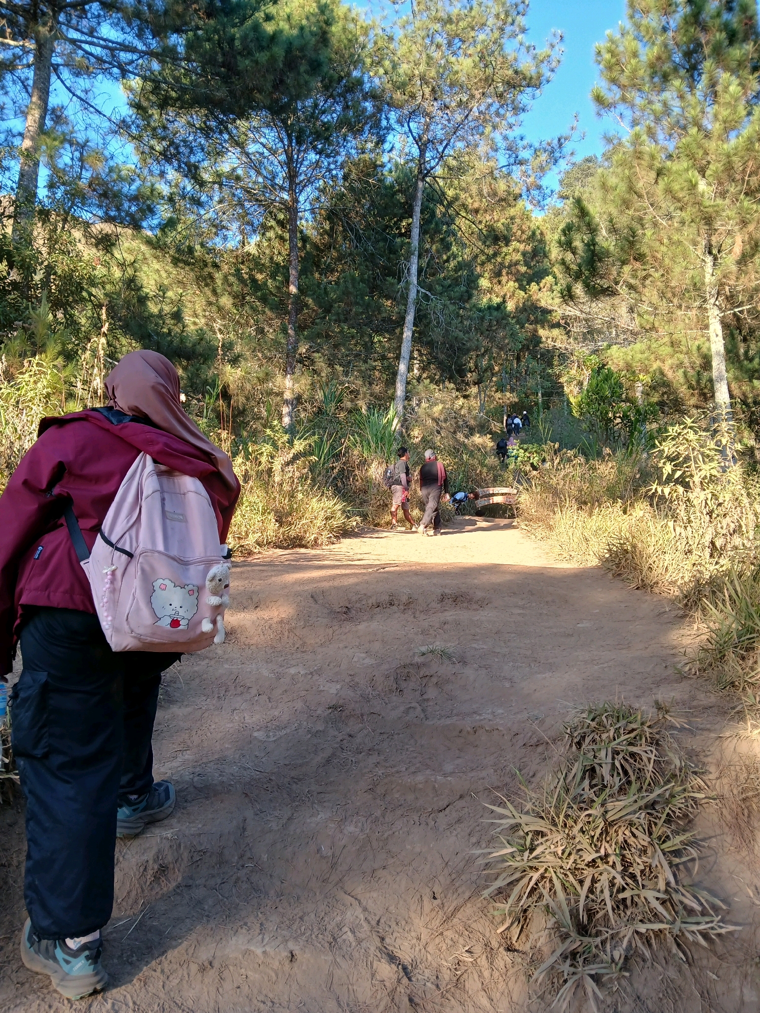 In Girirejo, Indonesia, on a dirt path through a pine forest, a person wearing a maroon jacket, black pants, and a light brown hijab walks away from the camera. They carry a light pink backpack adorned with a cartoon bear and a small plush toy. The path is lined with dry grass and scattered pine trees under a clear blue sky. Further up the path, a group of people are walking, and a wooden bench is visible near a wooden bridge. Two individuals stand on the path further ahead, one appearing to be interacting with a person lying on the ground near the bridge. The scene depicts a hiking or trekking activity in a natural, outdoor environment.